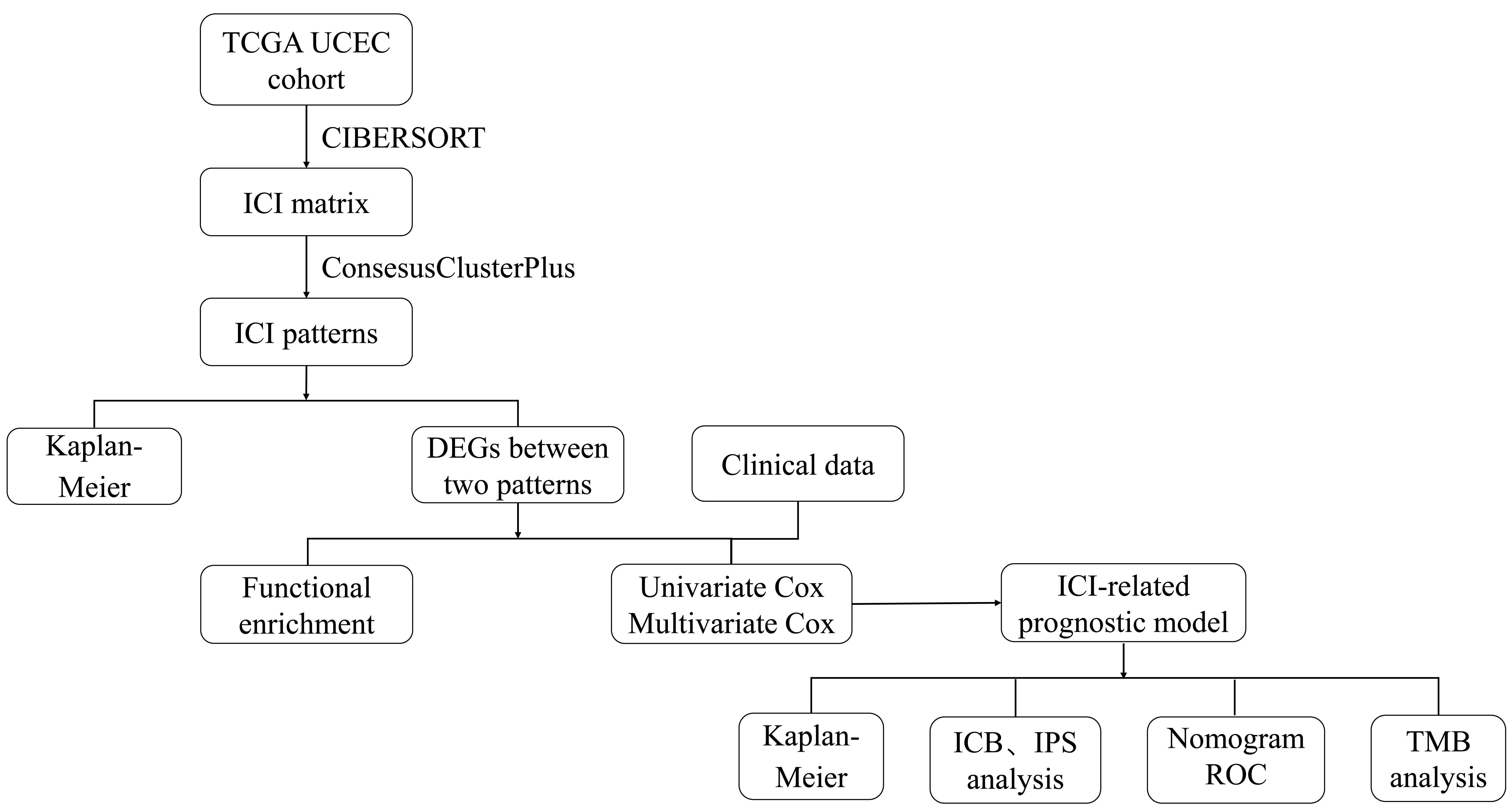 Immunological characteristics between UCEC patients with or