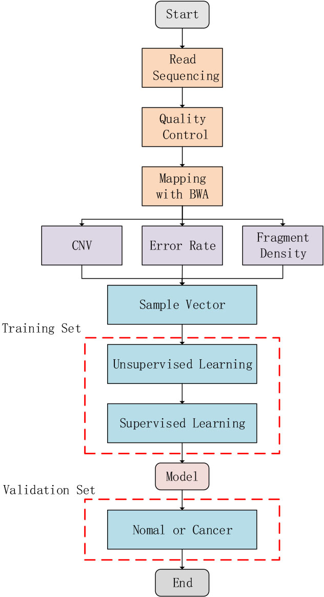 Frontiers  Ultra Low-Coverage Whole-Genome Sequencing as an