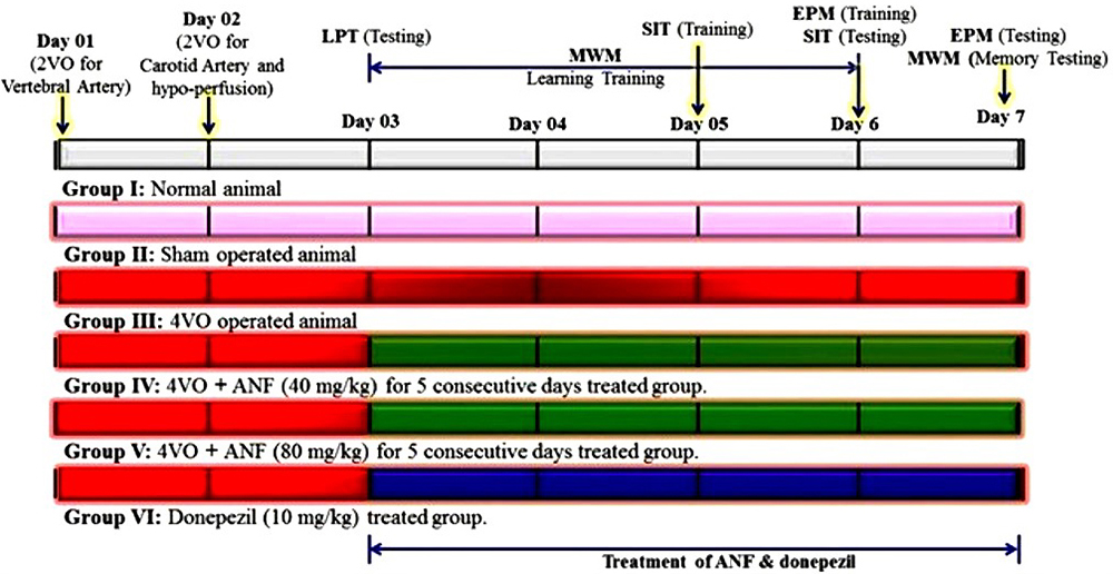 vertebral artery test sitting