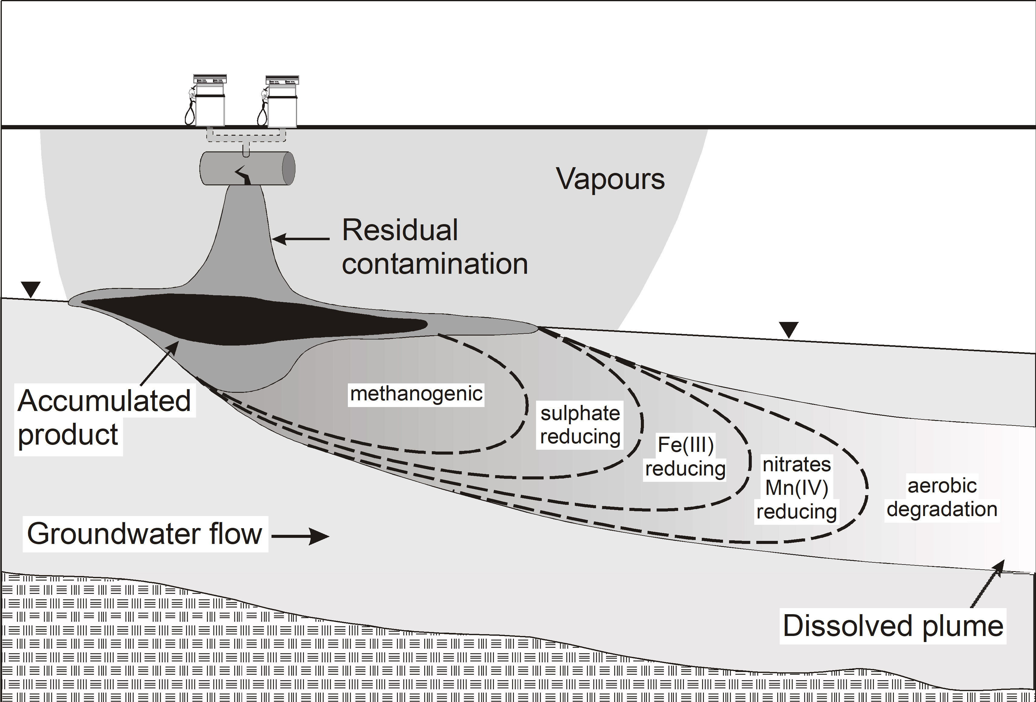 Reviewing the Bioremediation of Contaminants in Groundwater ...