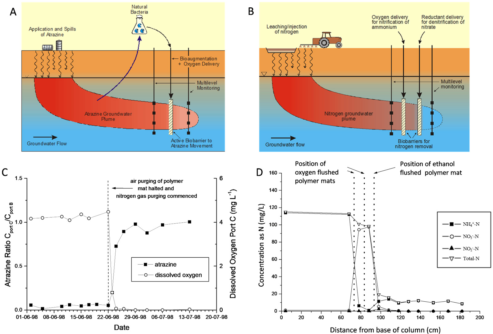 Reviewing the Bioremediation of Contaminants in Groundwater