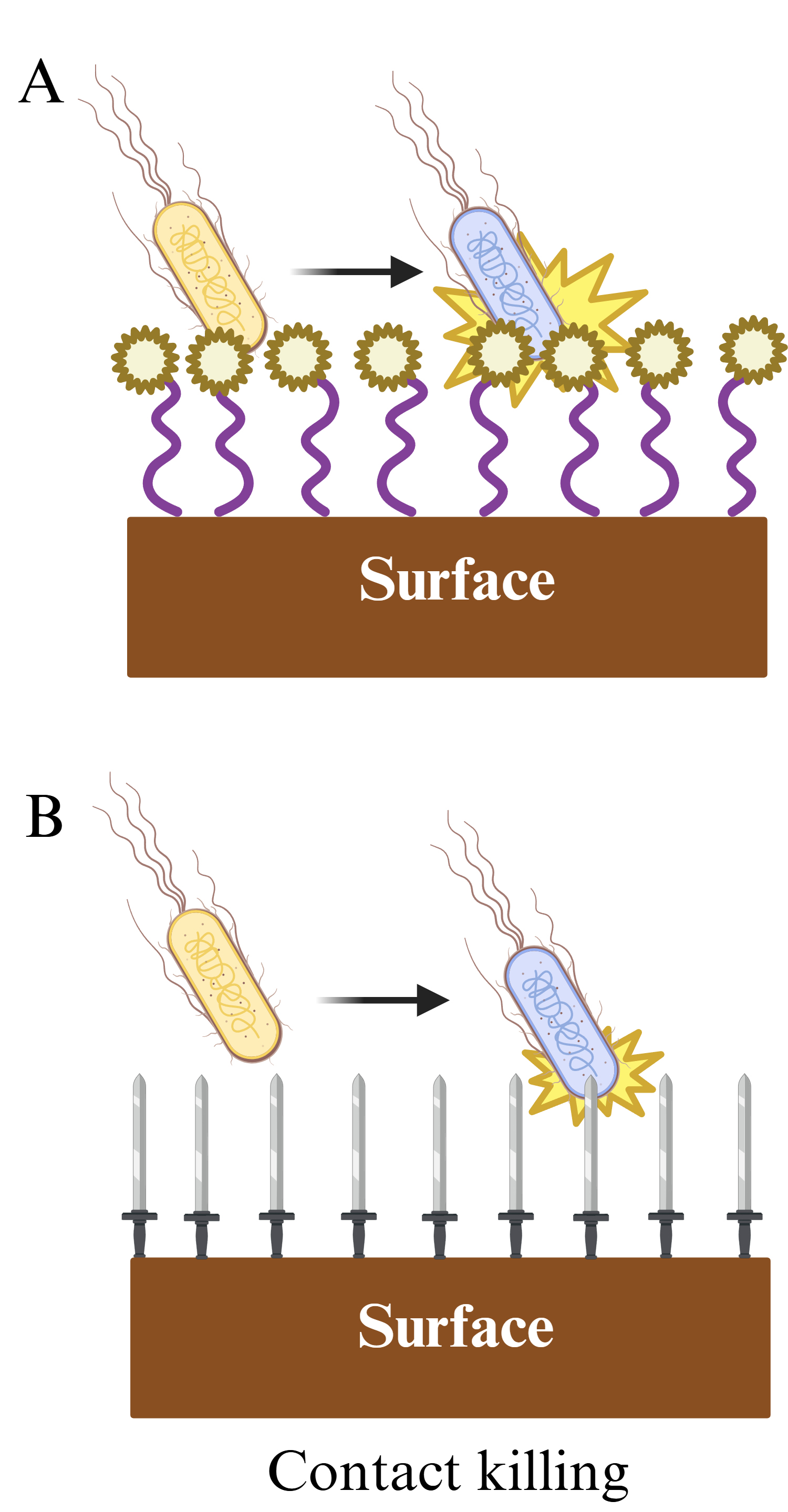 RAI RAI　その2 The interplay of transition metals in ferroptosis and