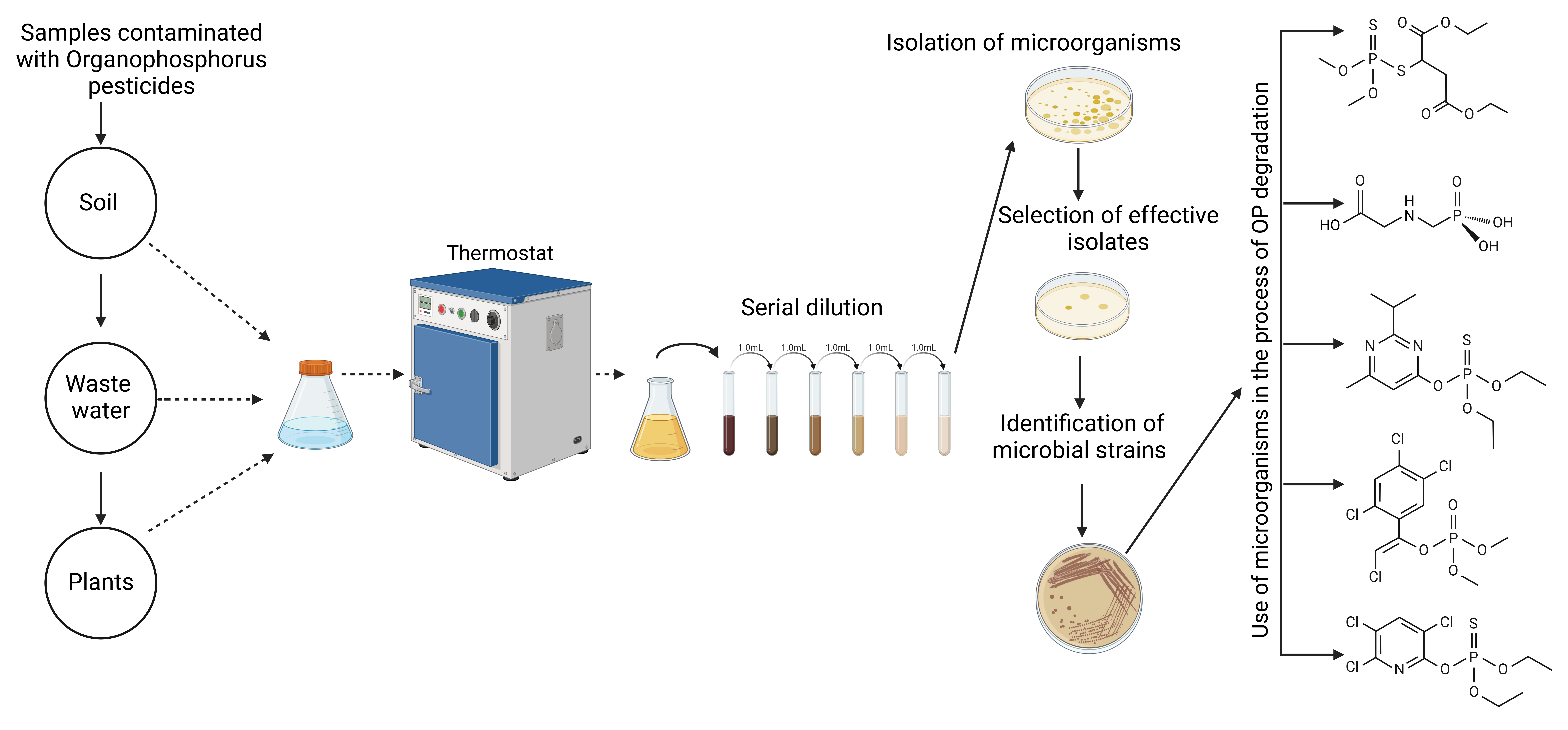 Жас әйелдермен жыныстық қатынас Оқшауланған секс онлайн