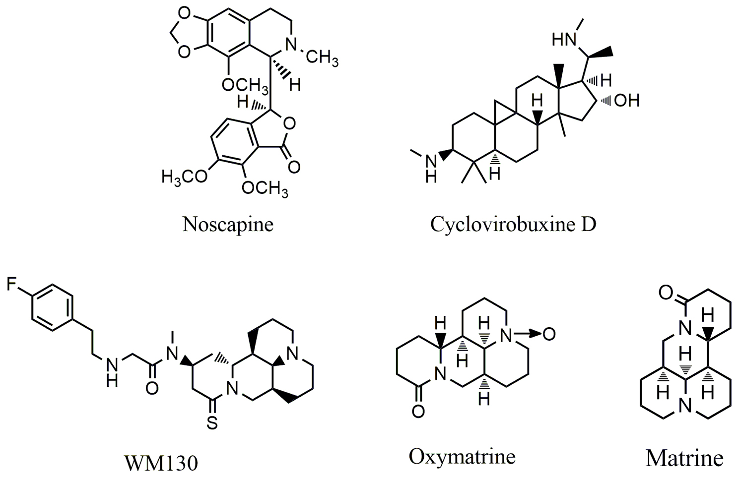 Protein kinases as therapeutic targets to develop anticancer