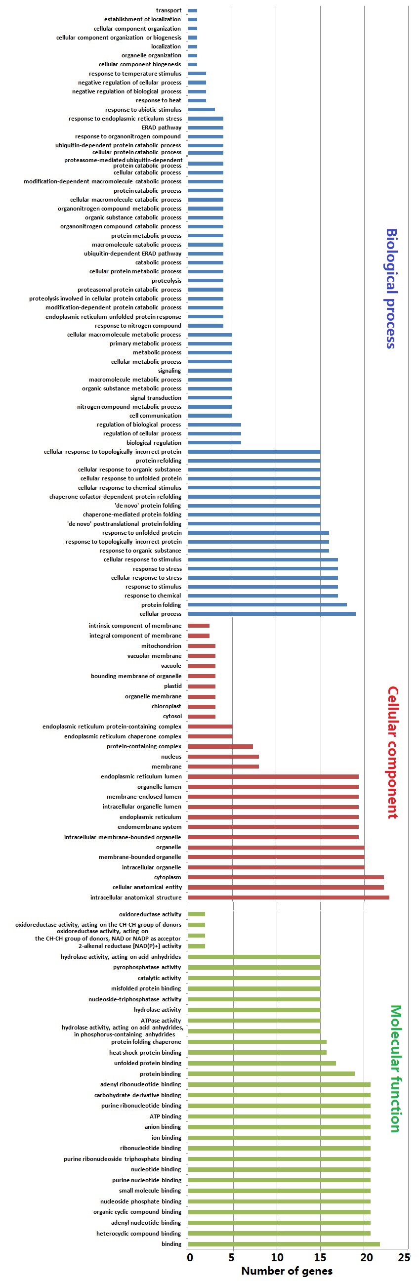 完璧わいふによる Analysis Genome-Wide and SlHsp70 of Profiling Expression 週刊誌
