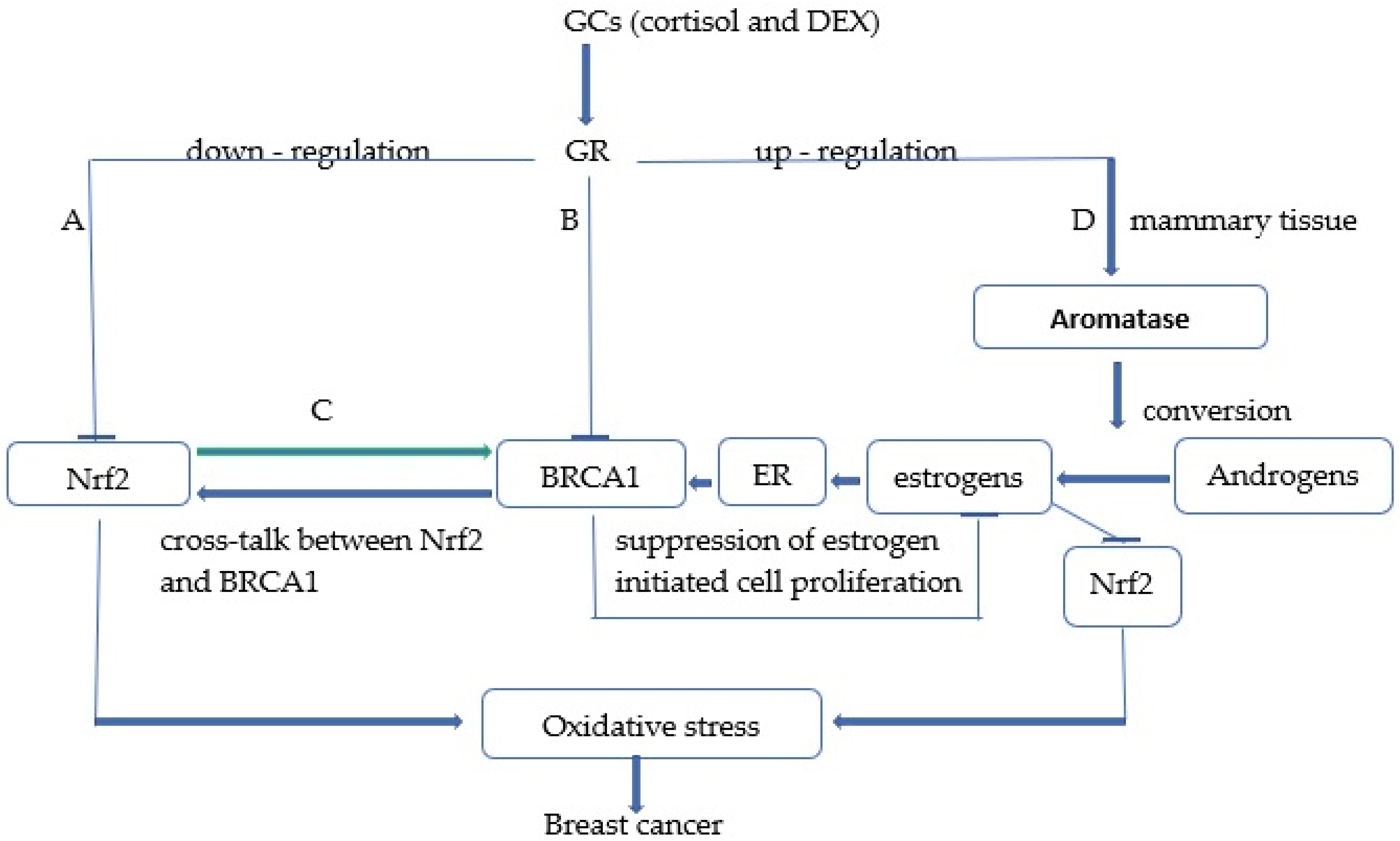 Full article: The Influence Mechanism of Abnormal Immunophilin