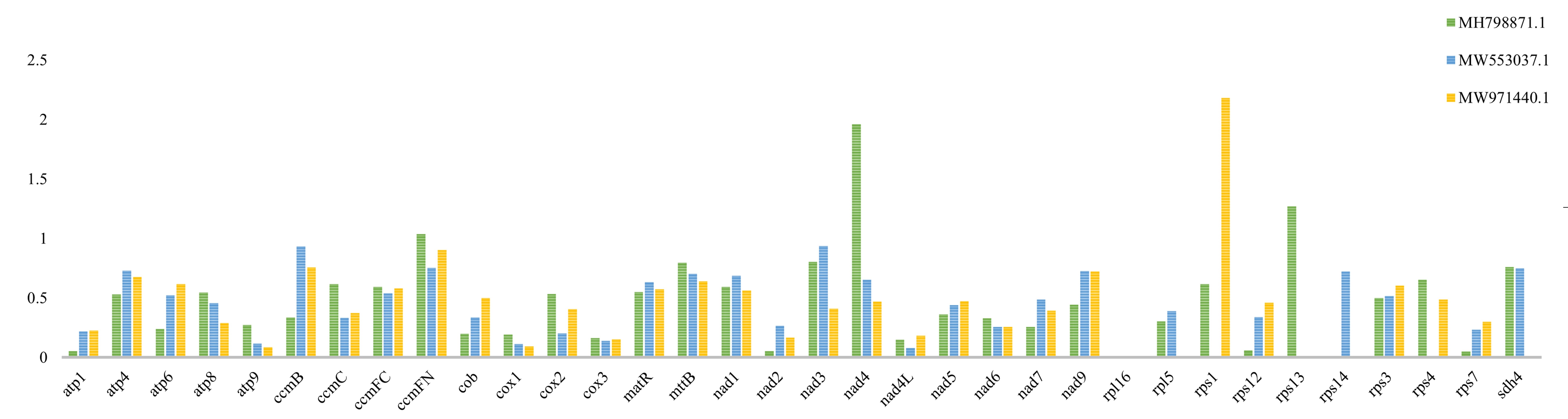 Assembly and Characterization of the Mitochondrial Genome of 