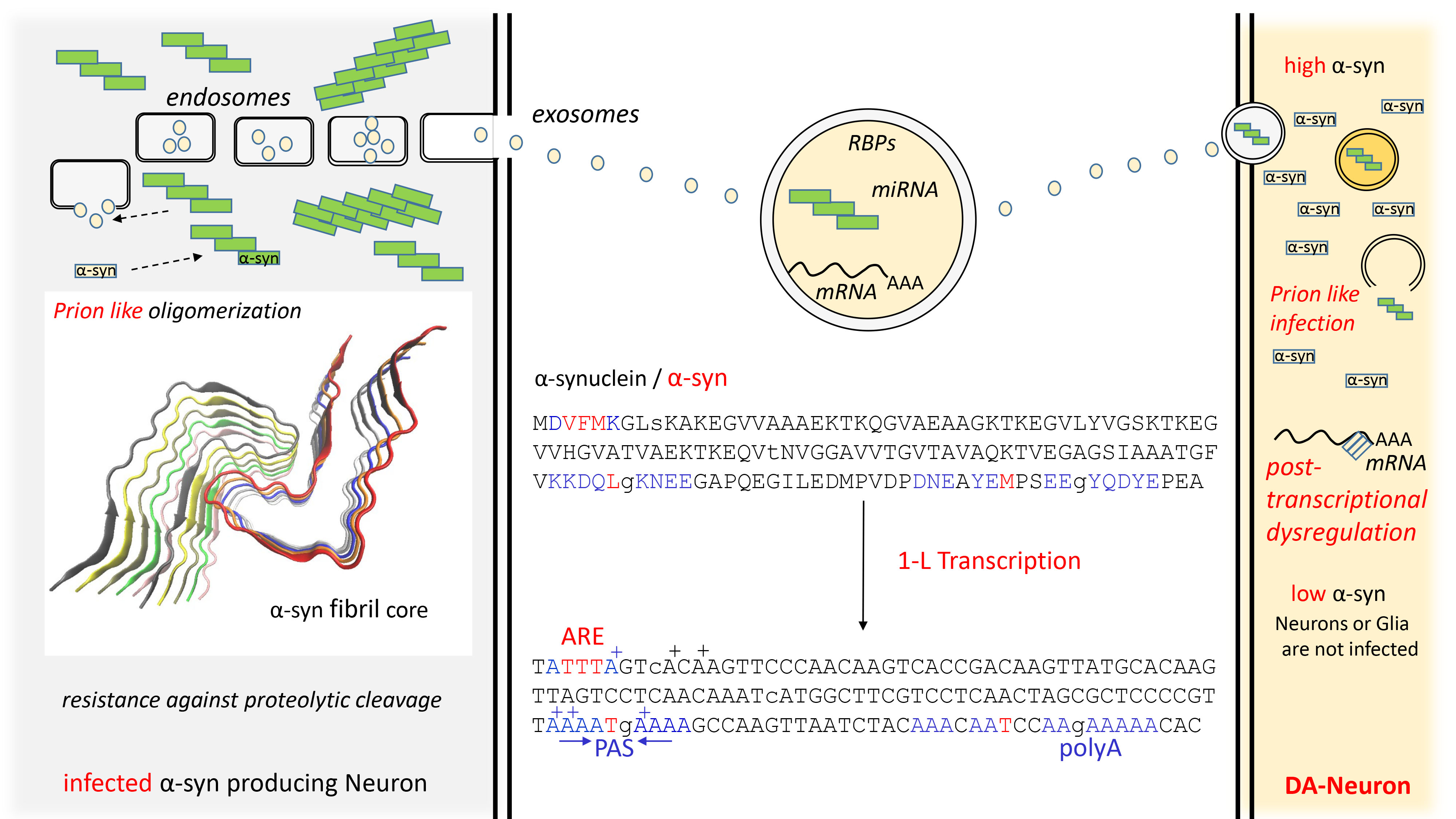 Proteomic analysis reveals sex-specific biomarker signature in postural  orthostatic tachycardia syndrome, BMC Cardiovascular Disorders