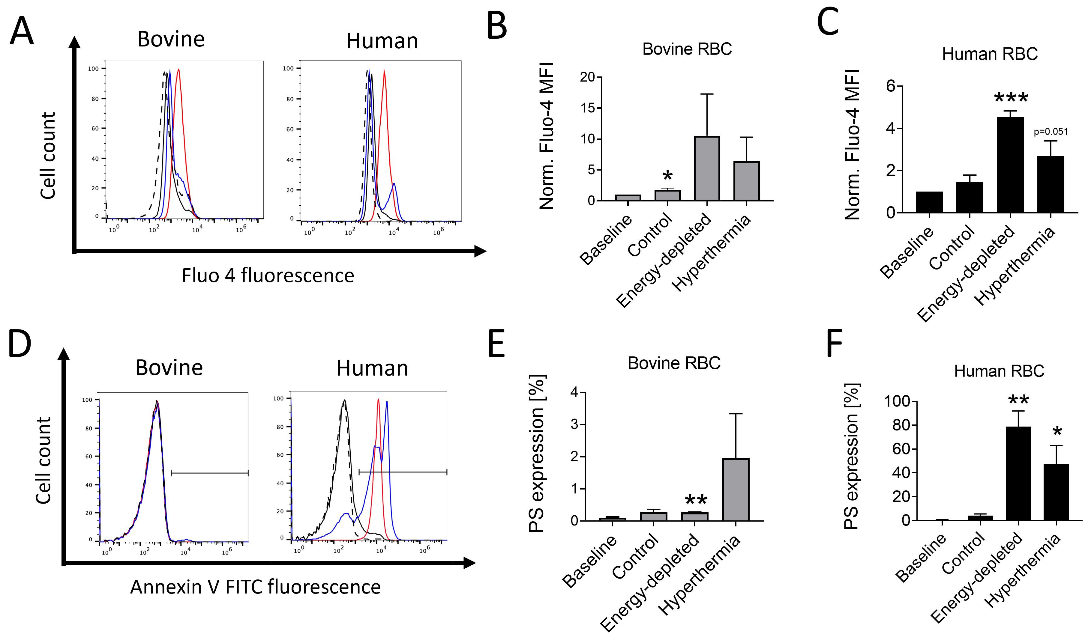 Examination of Bovine Red Blood Cell Death in Vitro in Response to ...