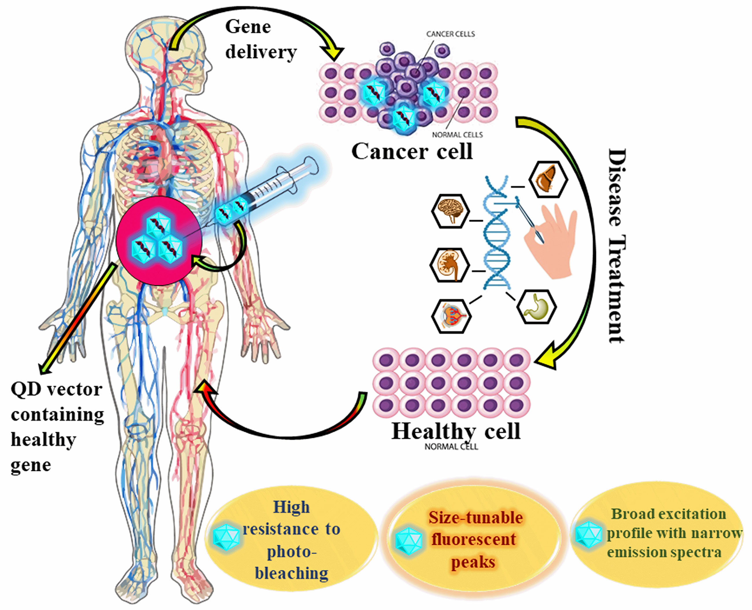 Gene Silencing and Gene Delivery in Therapeutics: Insights Using 
