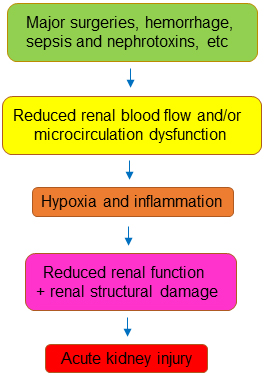 Cureus  Acute Urinary Retention in the First-trimester of