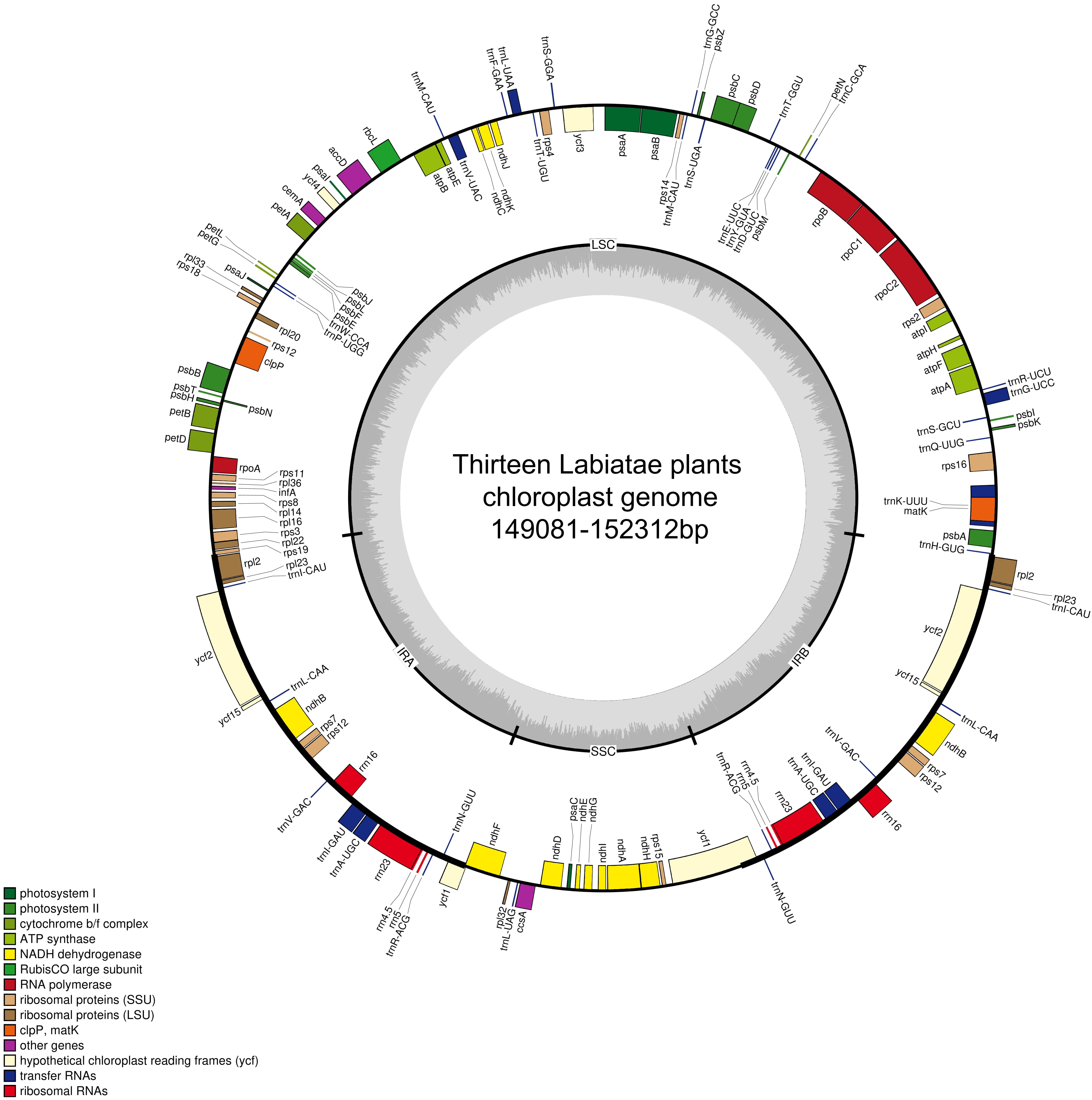 N　その2 Tandem Enzymatic Self-Assembly and Slow Release of