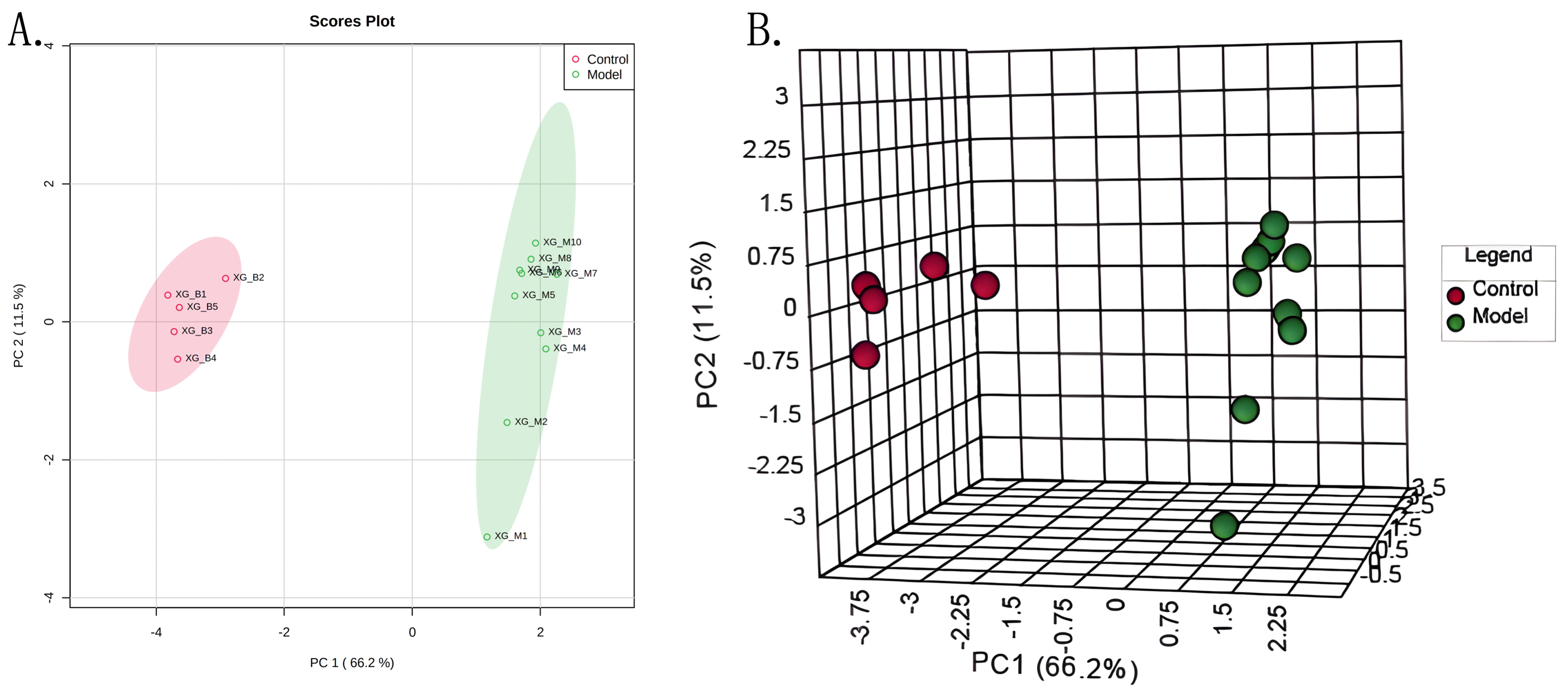 Specific Resections of Trachea and Carina | SpringerLink