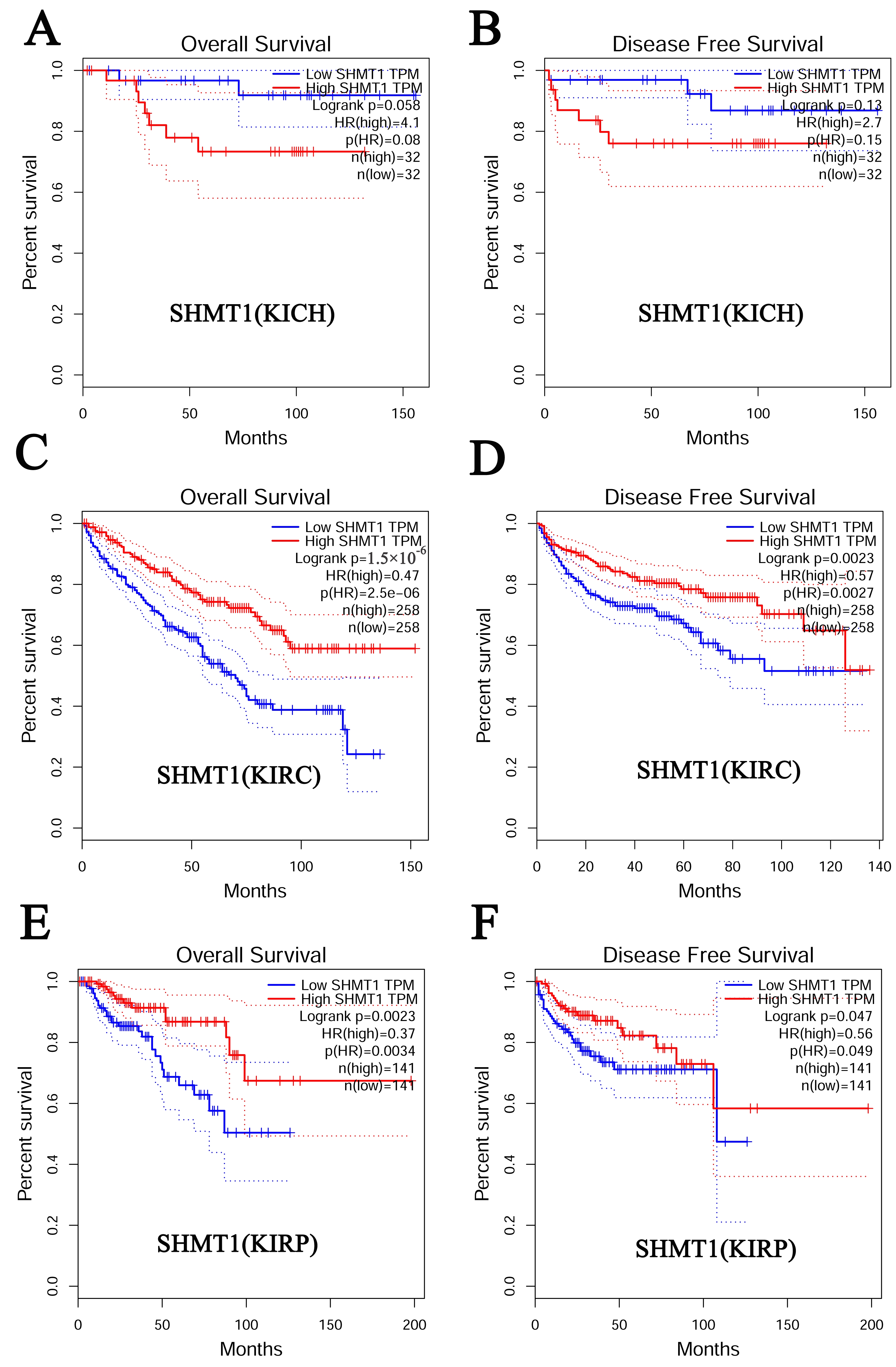 SHMT as a Potential Therapeutic Target for Renal Cell Carcinoma