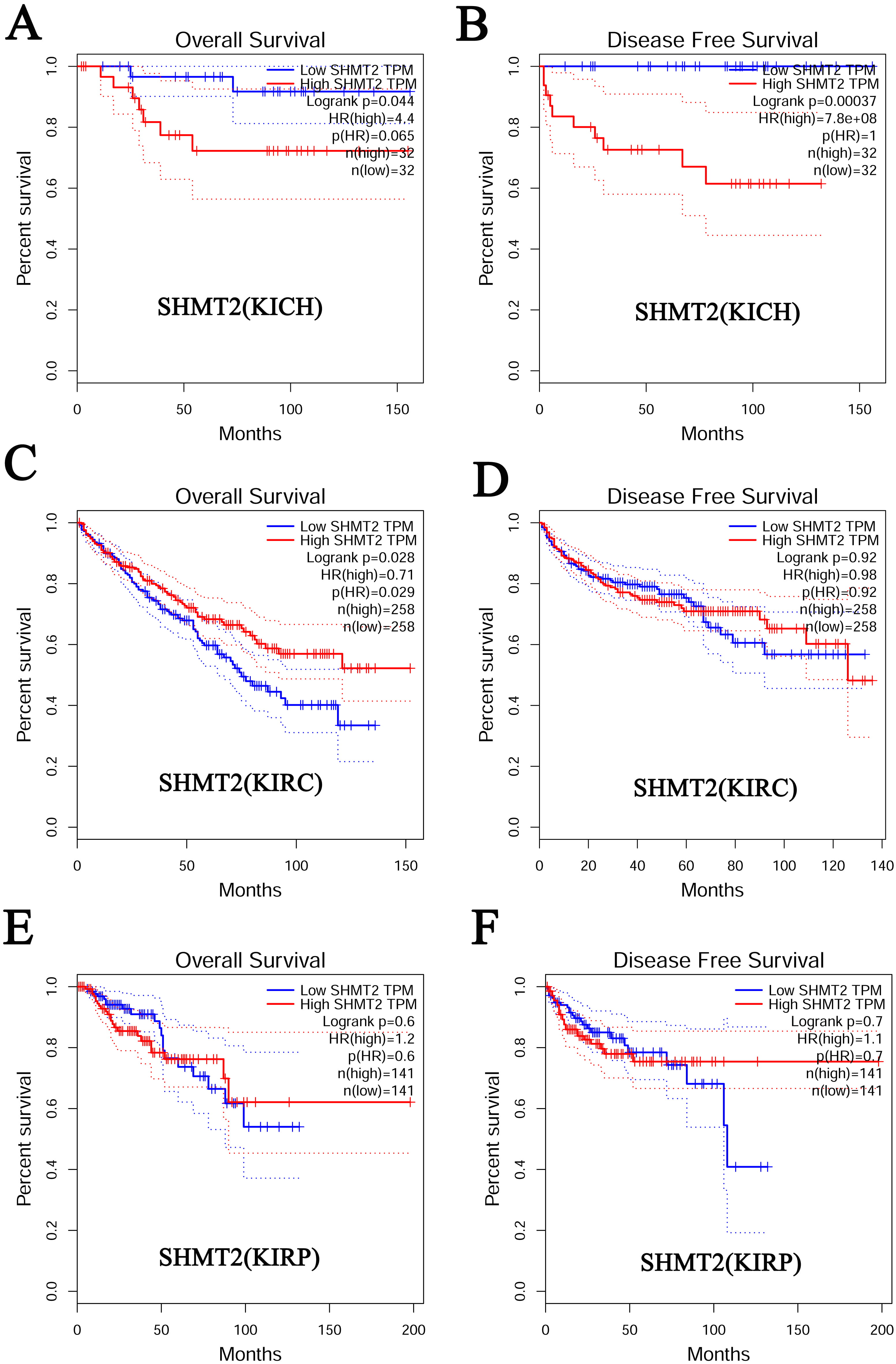 SHMT as a Potential Therapeutic Target for Renal Cell Carcinoma