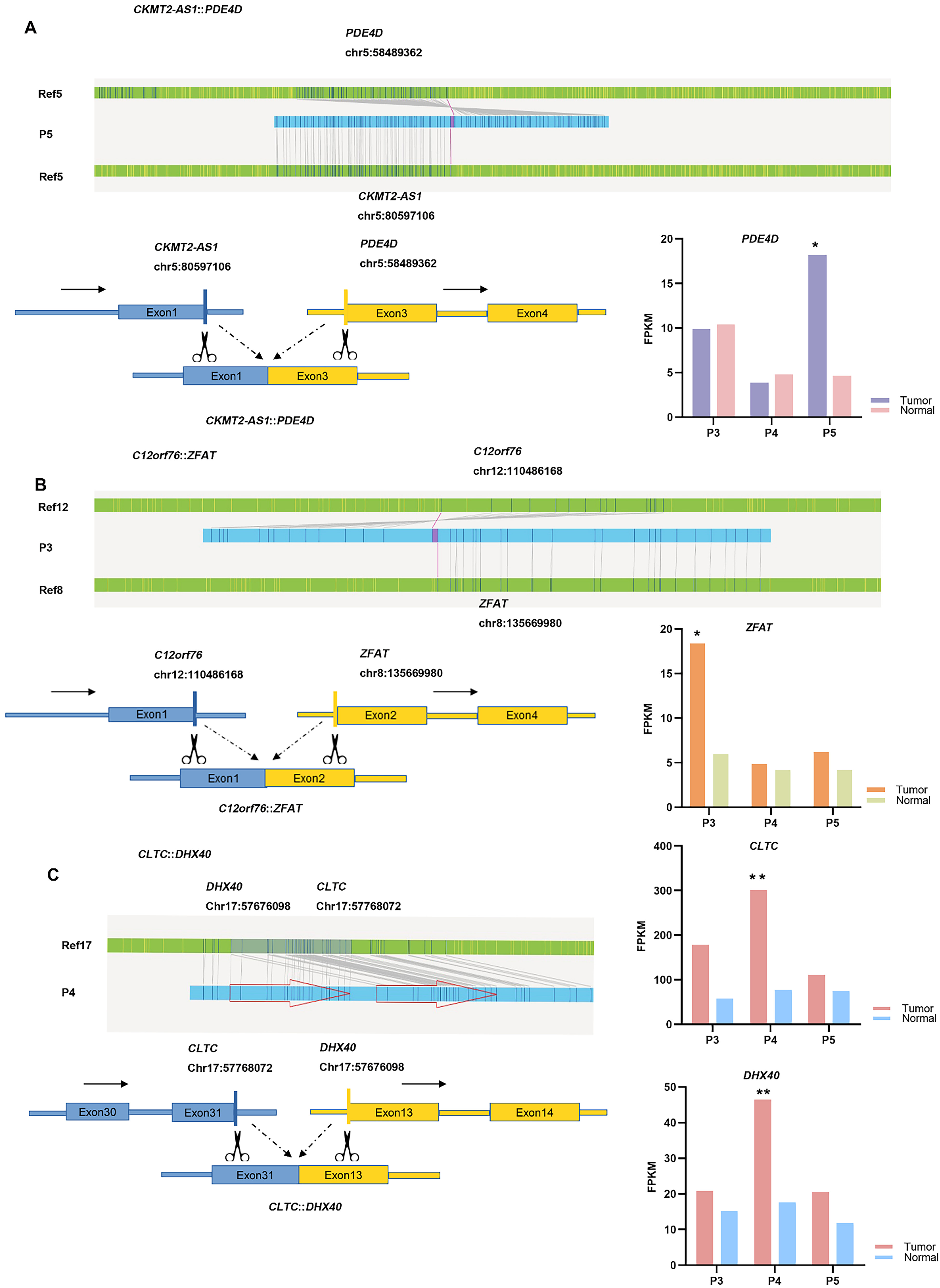 Optical Genome Mapping Reveals The Landscape Of Structural Variations ...