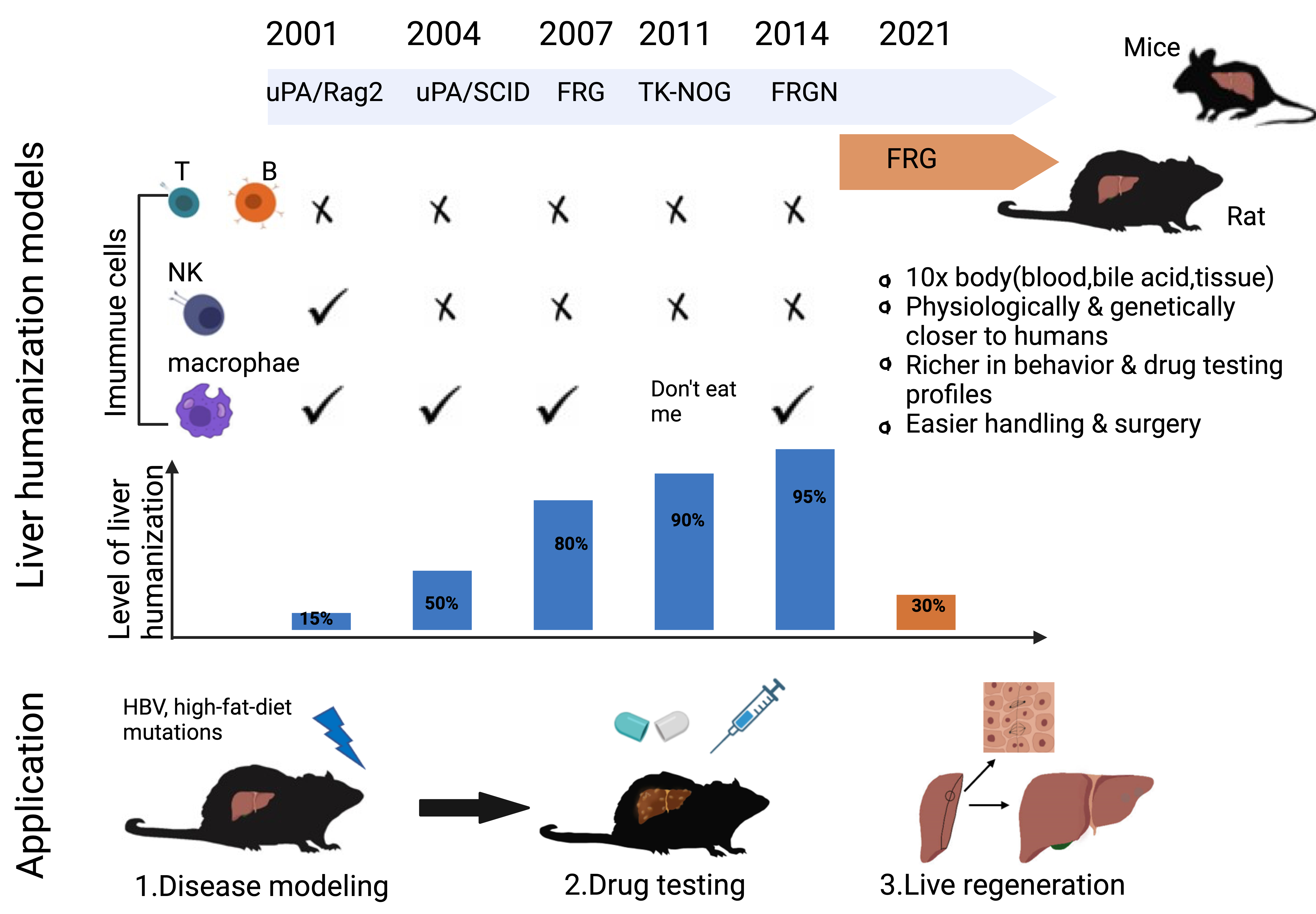 Transdifferentiation Can Create an Endless Supply of Brain Cells—and Fast