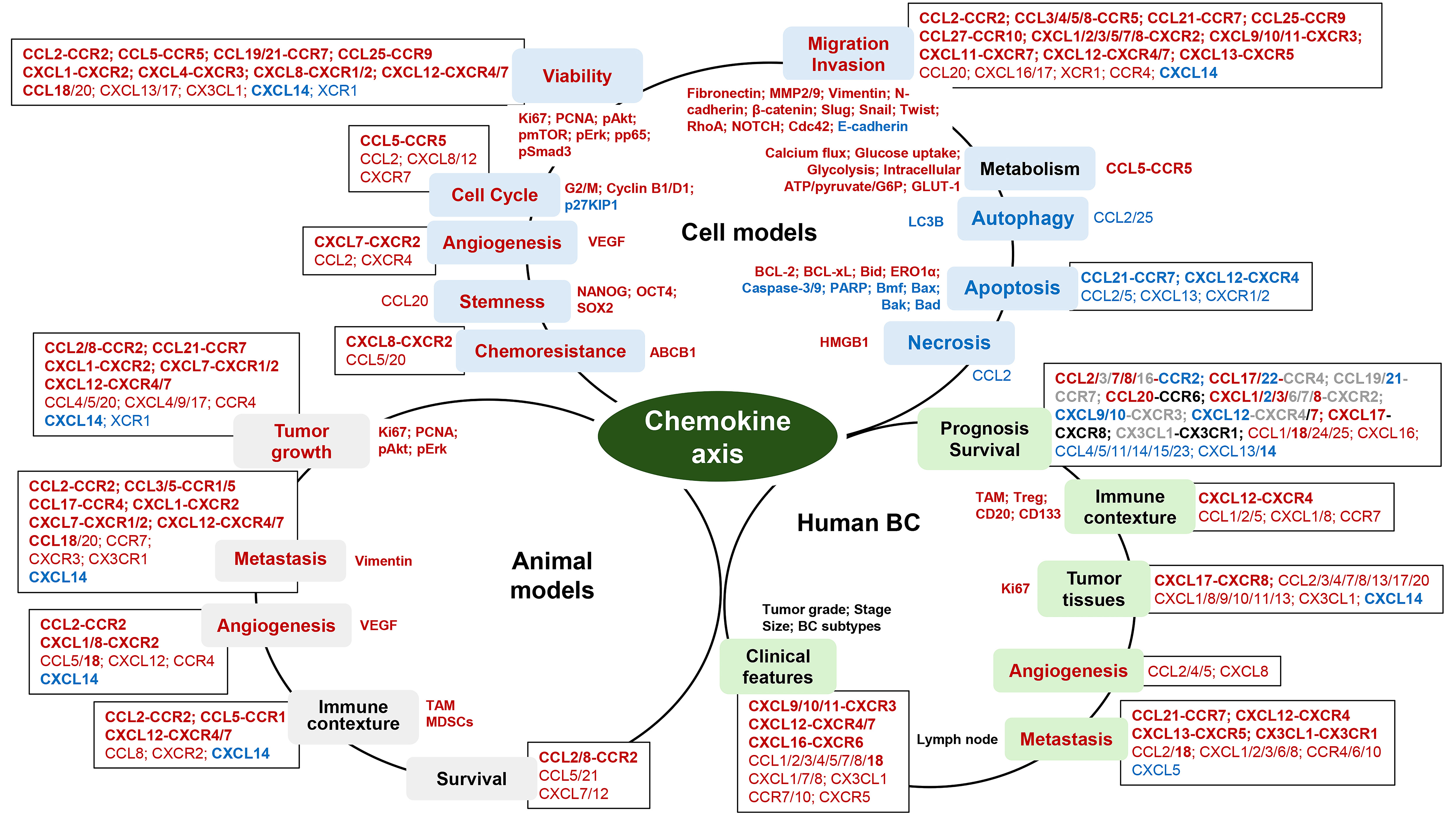 Roles of Chemokine Axes in Breast Cancer