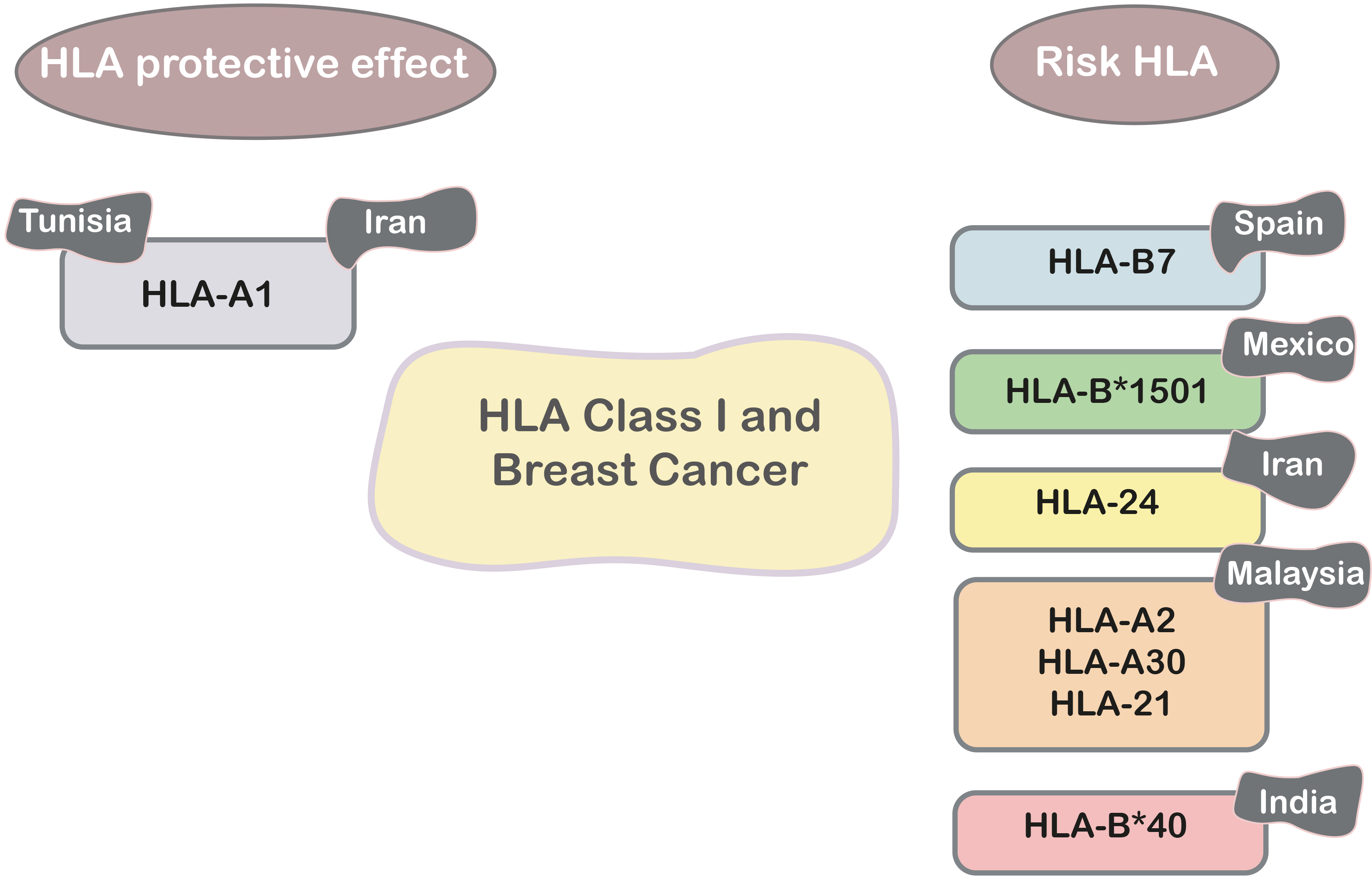 Fig A1. Breast cancer incidence, by type of risk.