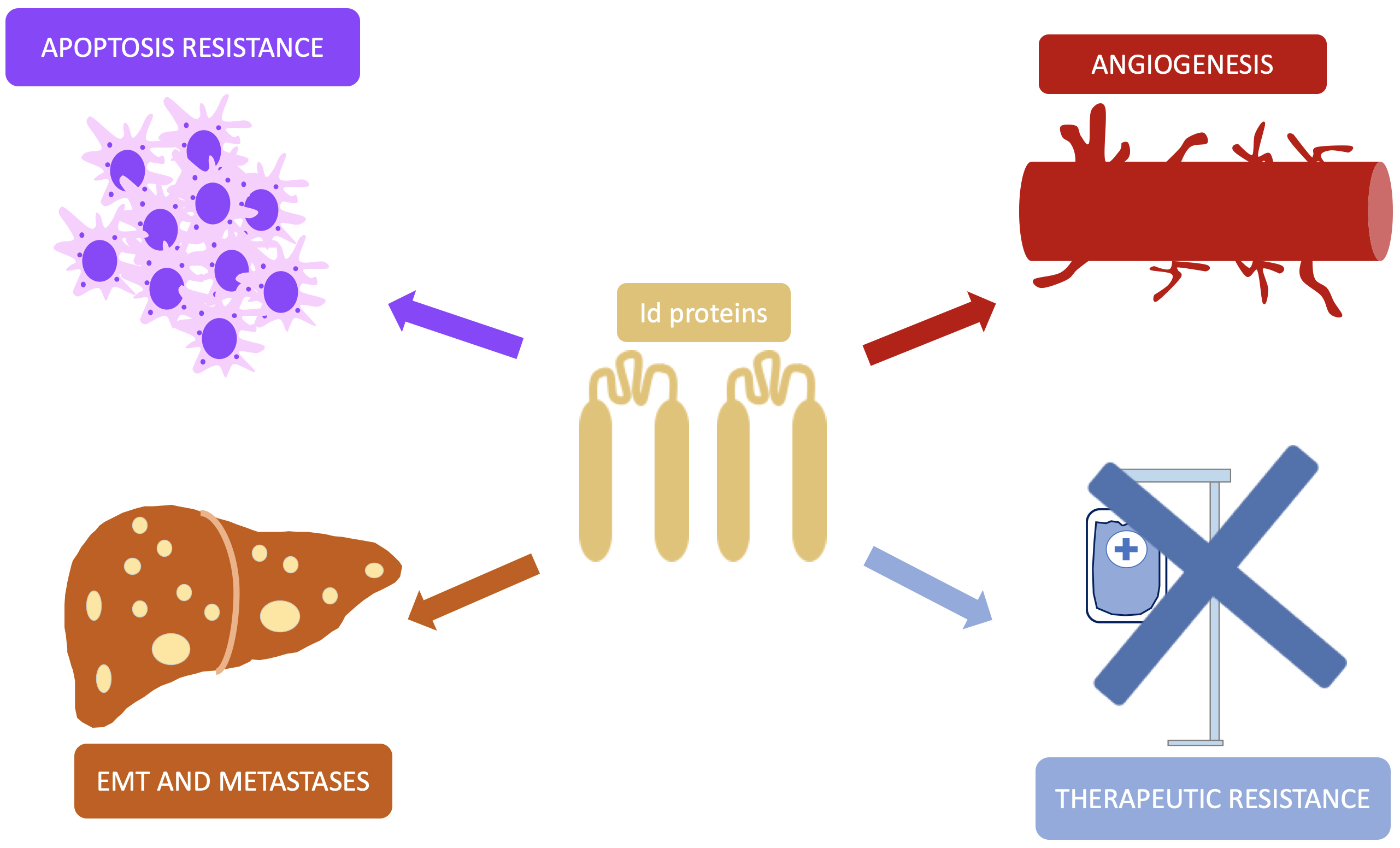 Epigenetic Mechanisms in Neuroendocrine Neoplasms: Is There