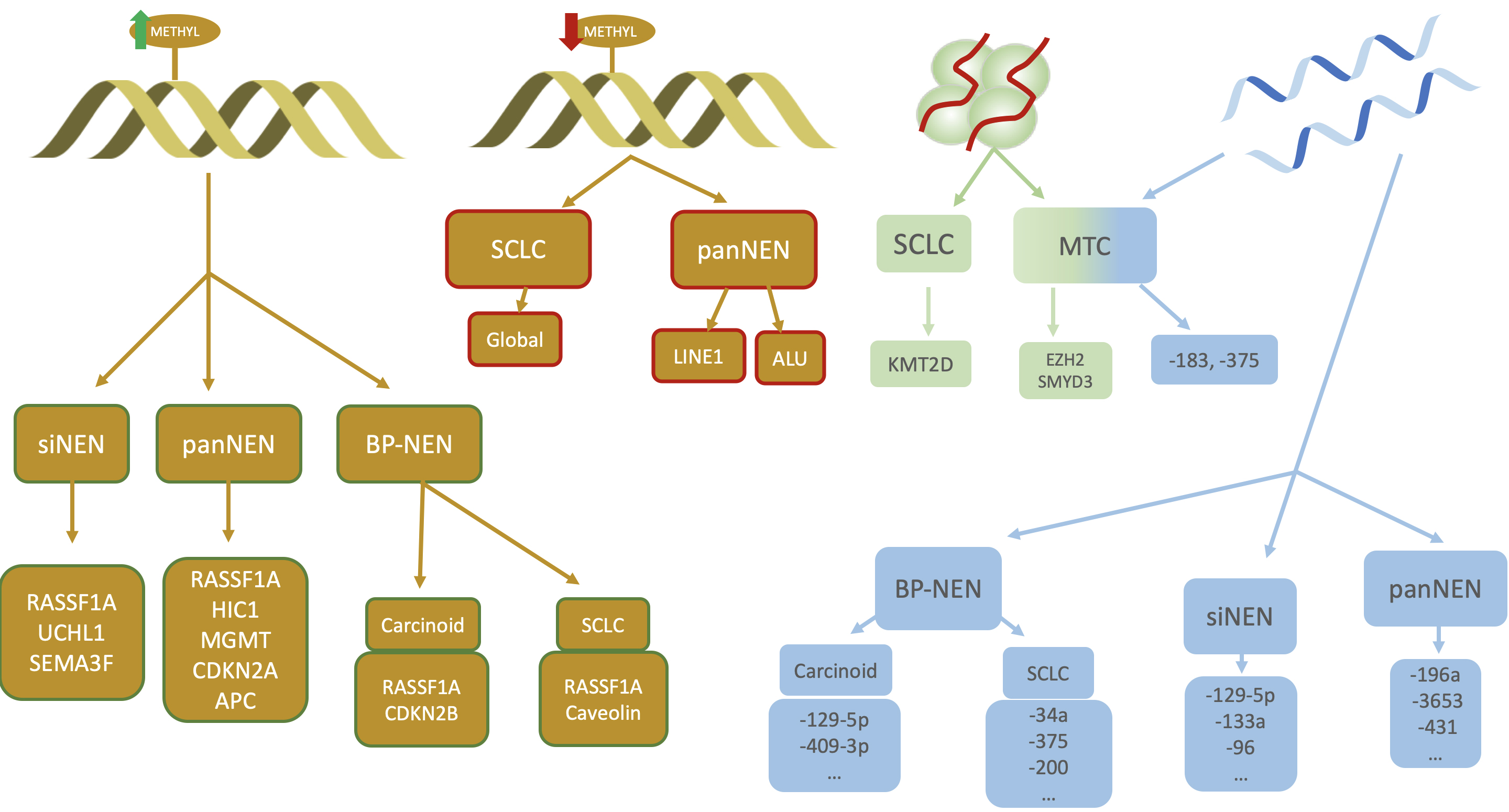 Epigenetic Mechanisms in Neuroendocrine Neoplasms: Is There