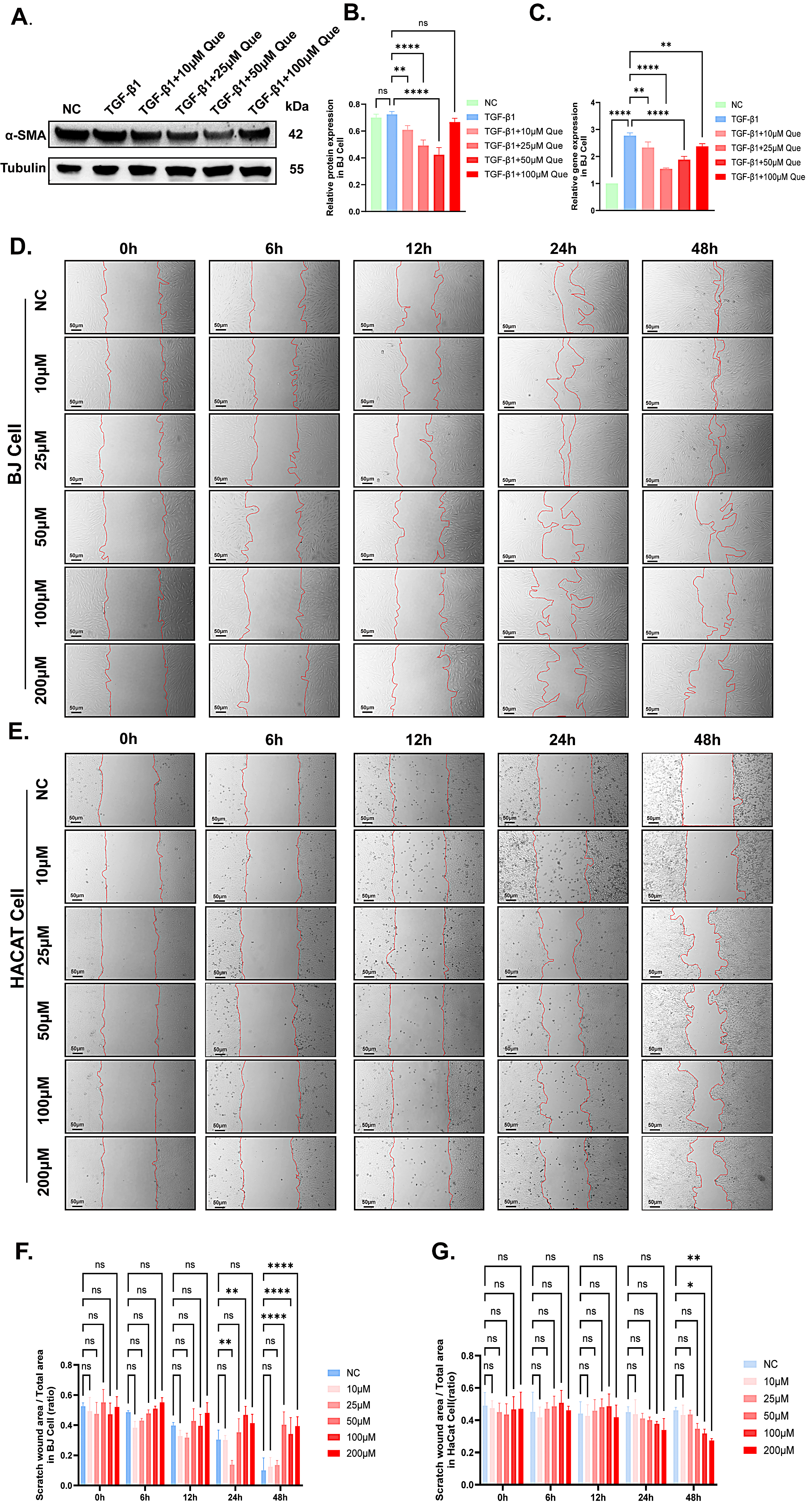 CROSS CONTRAST COLORS 全種類セット Amazon.com : ZIG KURECOLOR TWIN WS (36 colors) : Arts