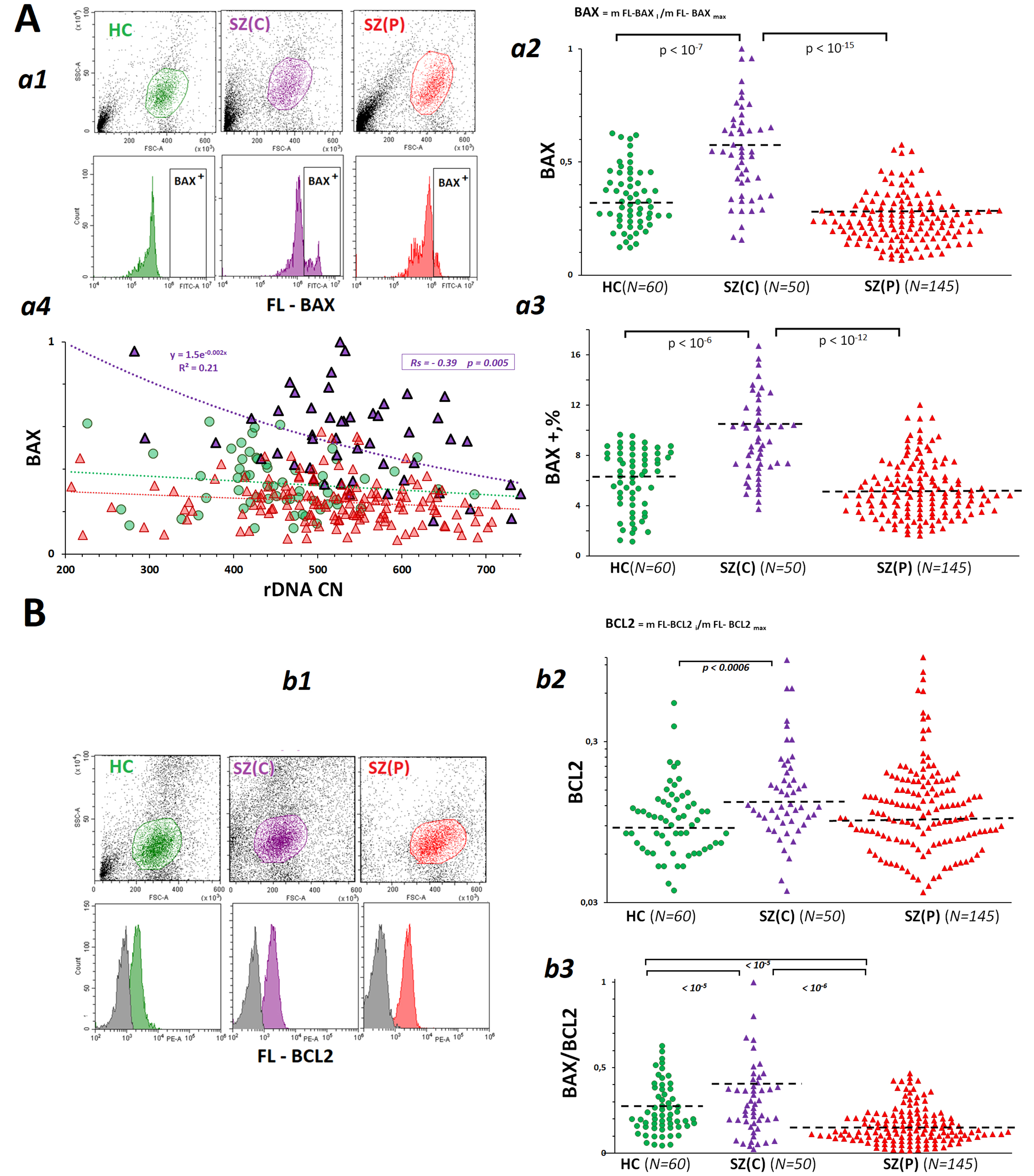 Increased Ribosome Biogenesis and Increased Oxidative Stress