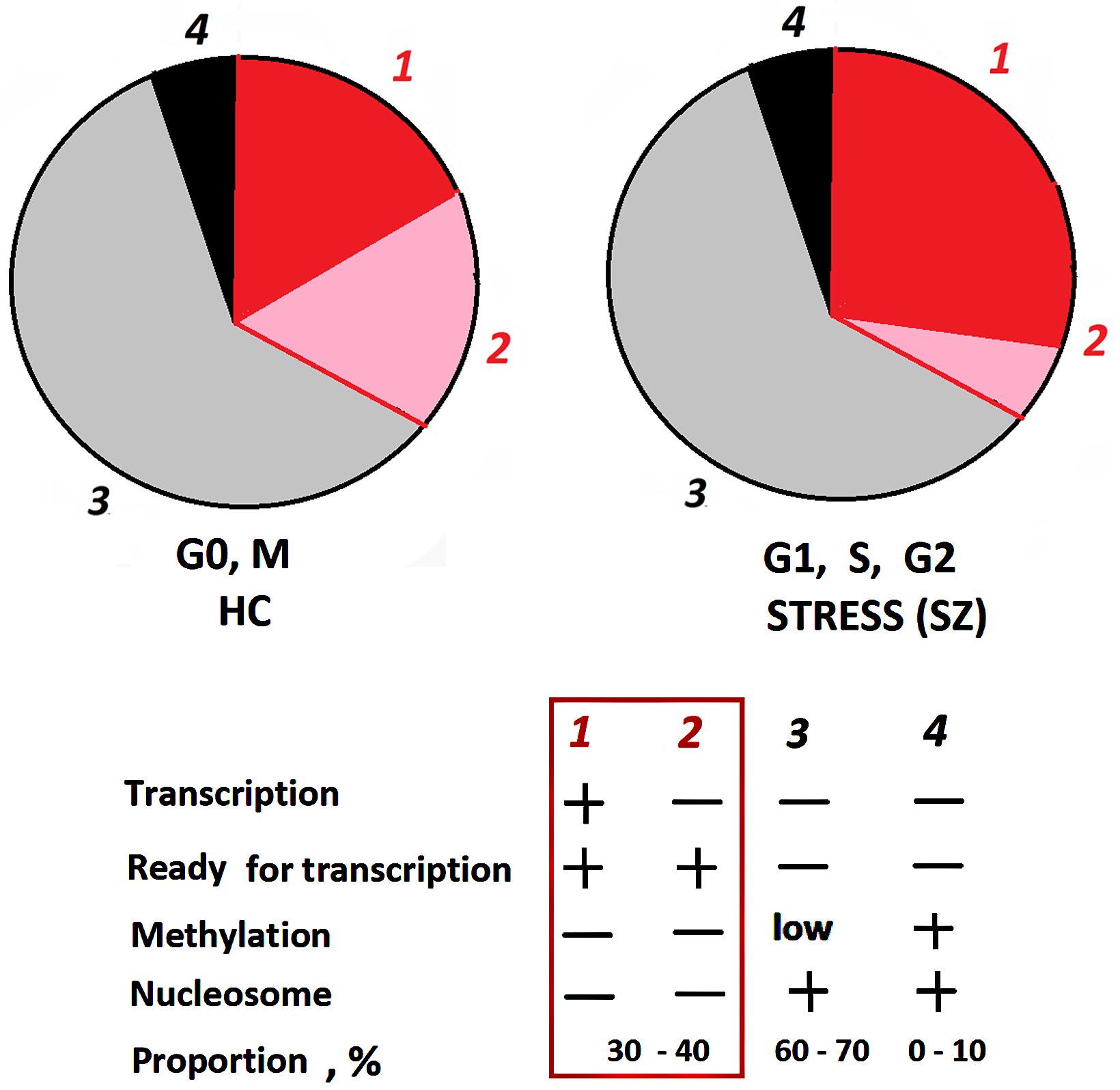 Increased Ribosome Biogenesis and Increased Oxidative Stress
