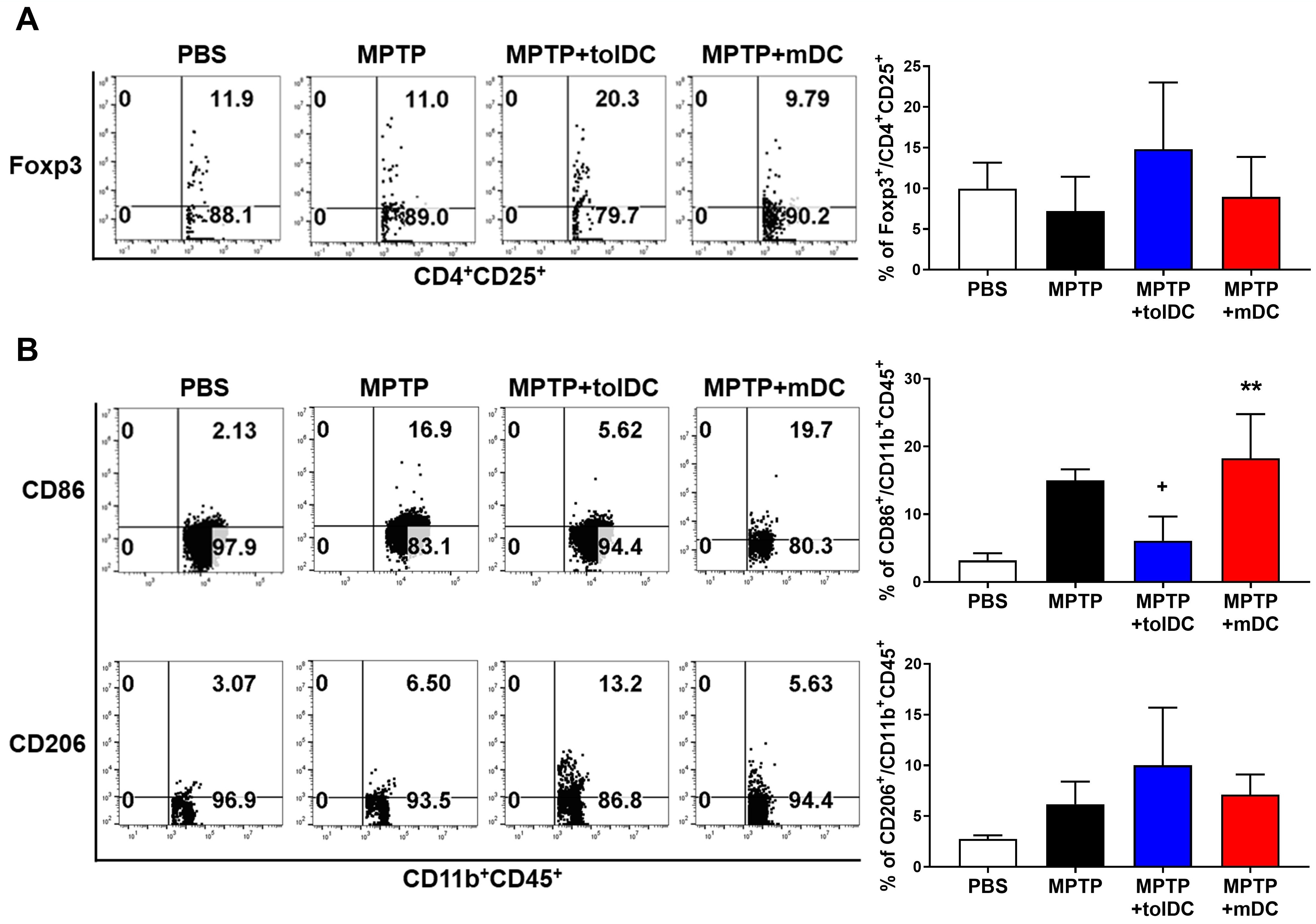 Dendritic Cells Induce Clec5a-mediated Immune Modulation in