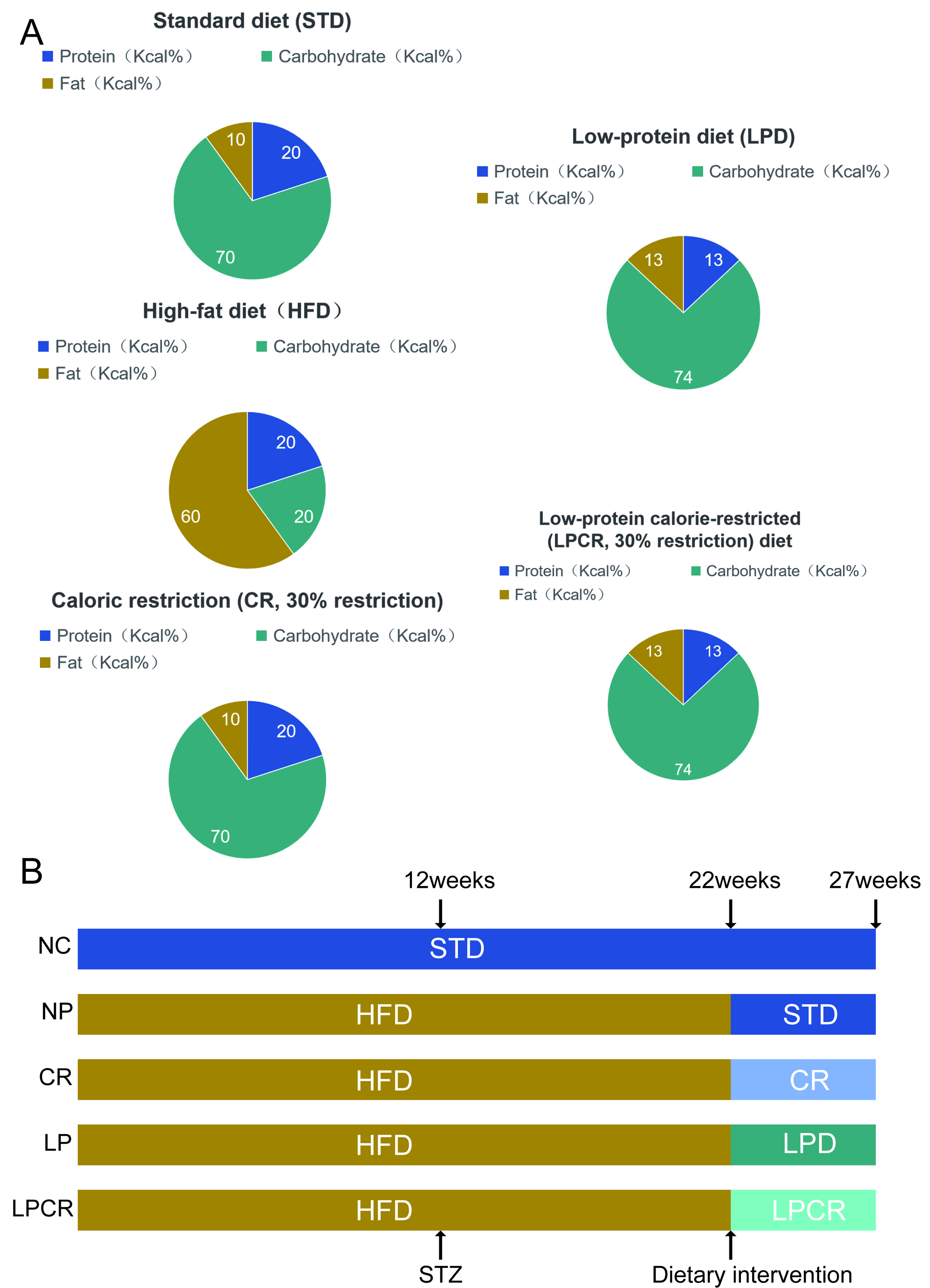 Low-protein Calorie-restriction Mitigates Diabetic Mice
