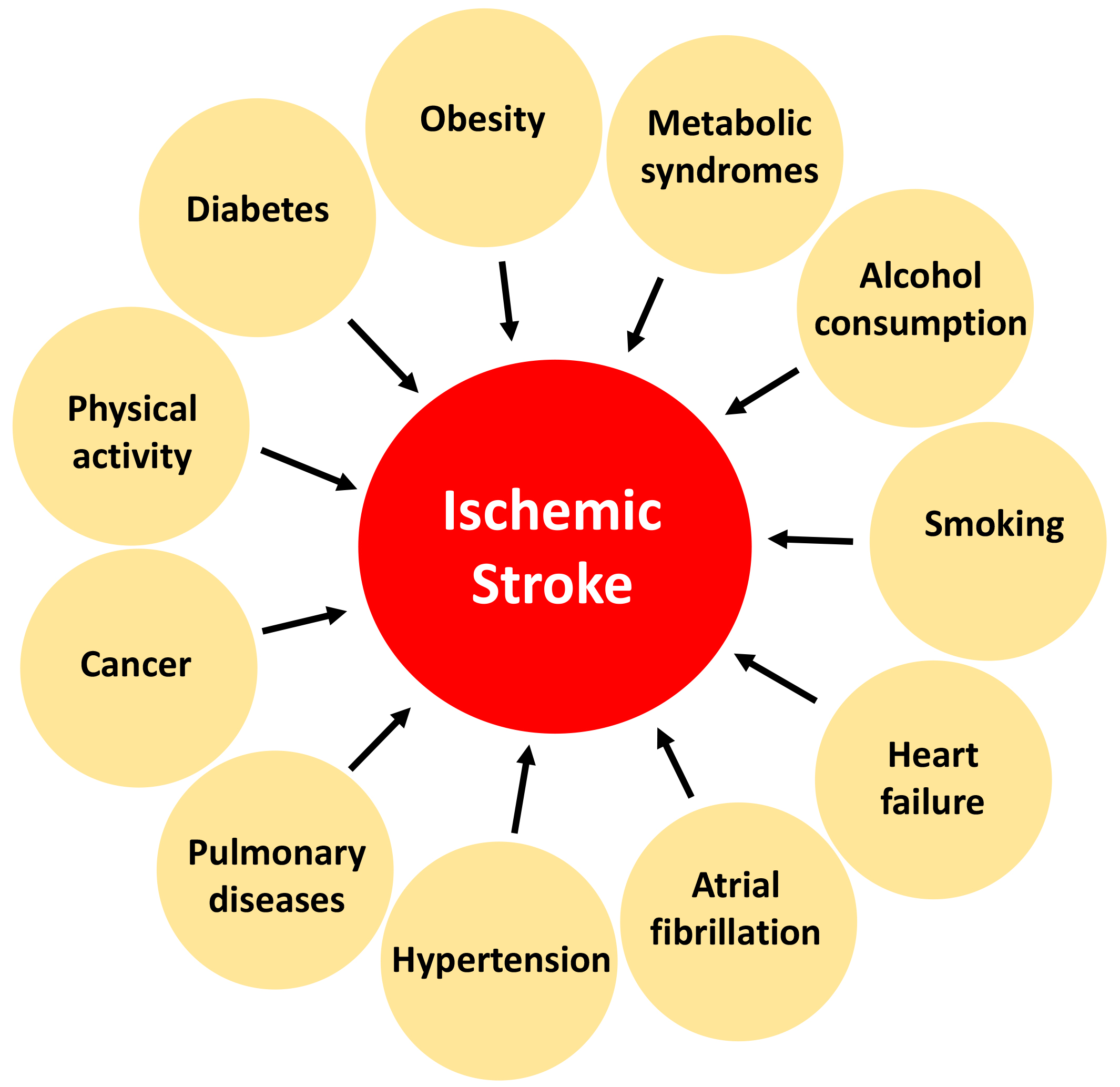 Impact of Cardiovascular Diseases on Ischemic Stroke