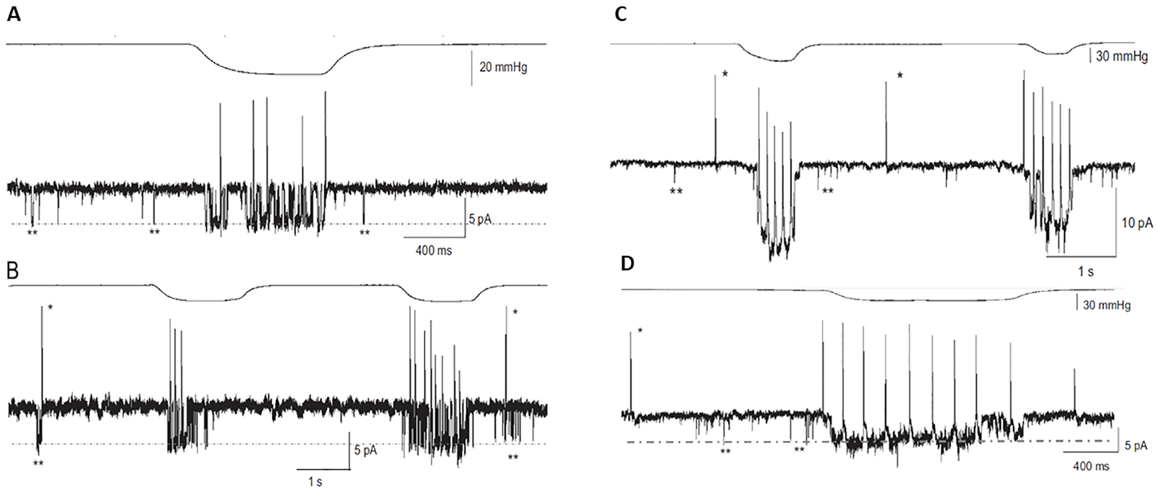 Ephaptic Interactions in the Mammalian Olfactory System