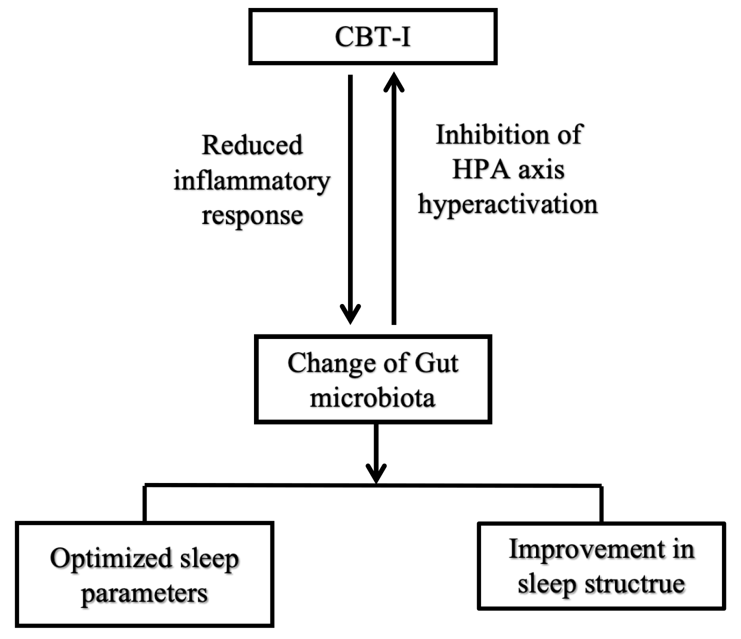 Neurophysiology and Molecular Basis of Cognitive Behavioral 