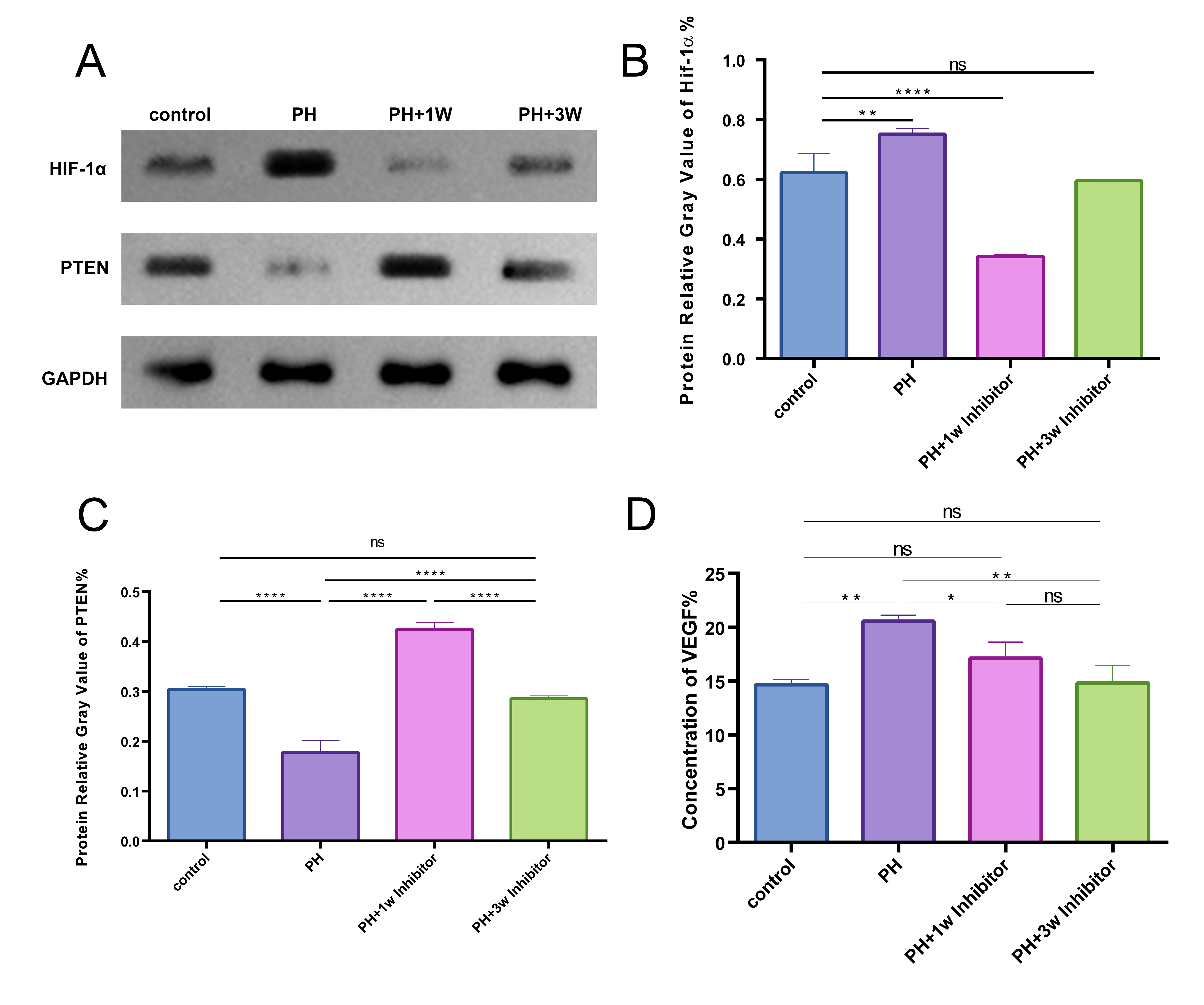 Hypoxia : The Tolerable Limits 低酸素症 許容限界 Hypoxia : The Tolerable Limits 低酸素症 許容限界 Hypoxia