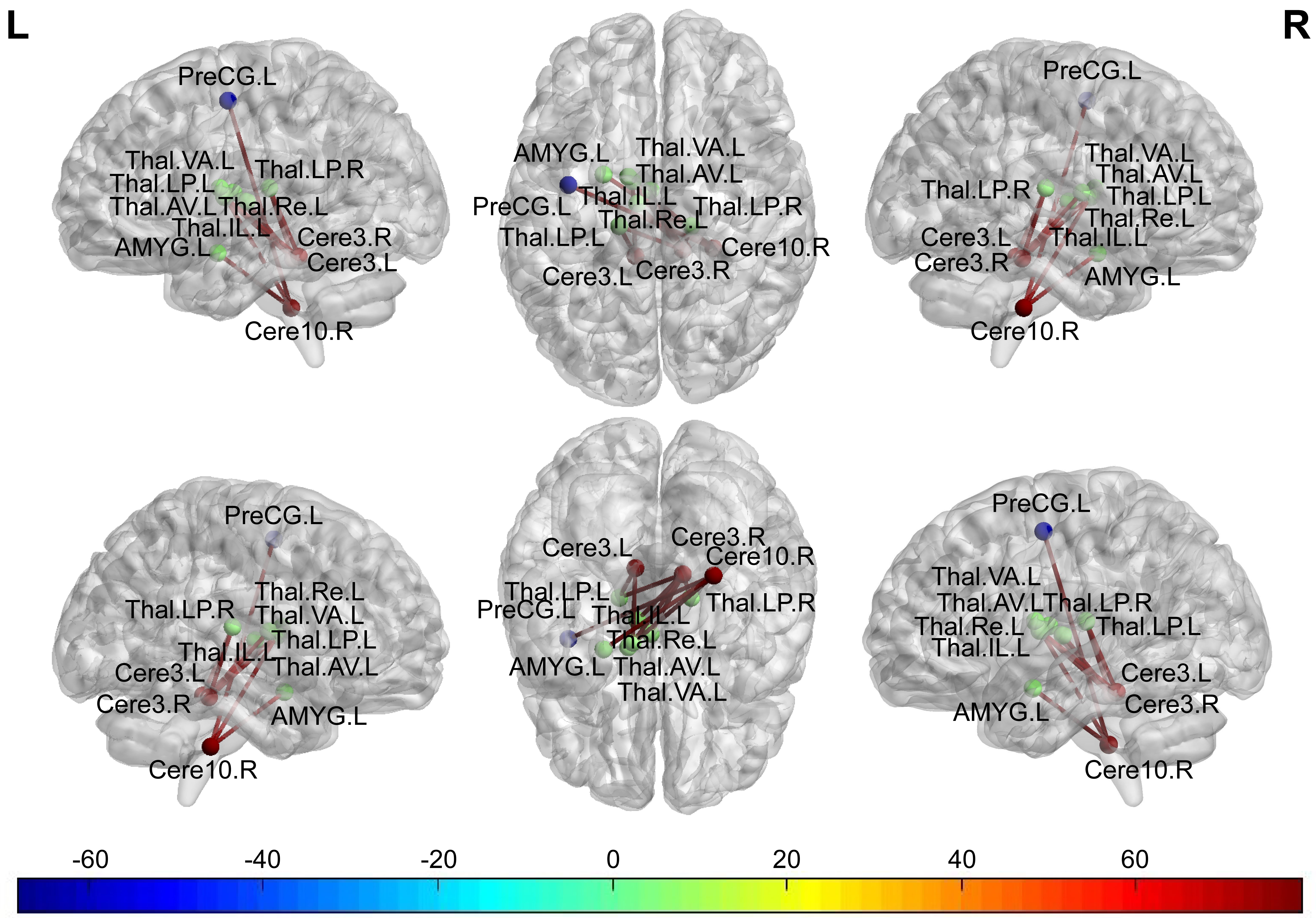 脳機能入門 = A Glimpse of Brain Functions : …
