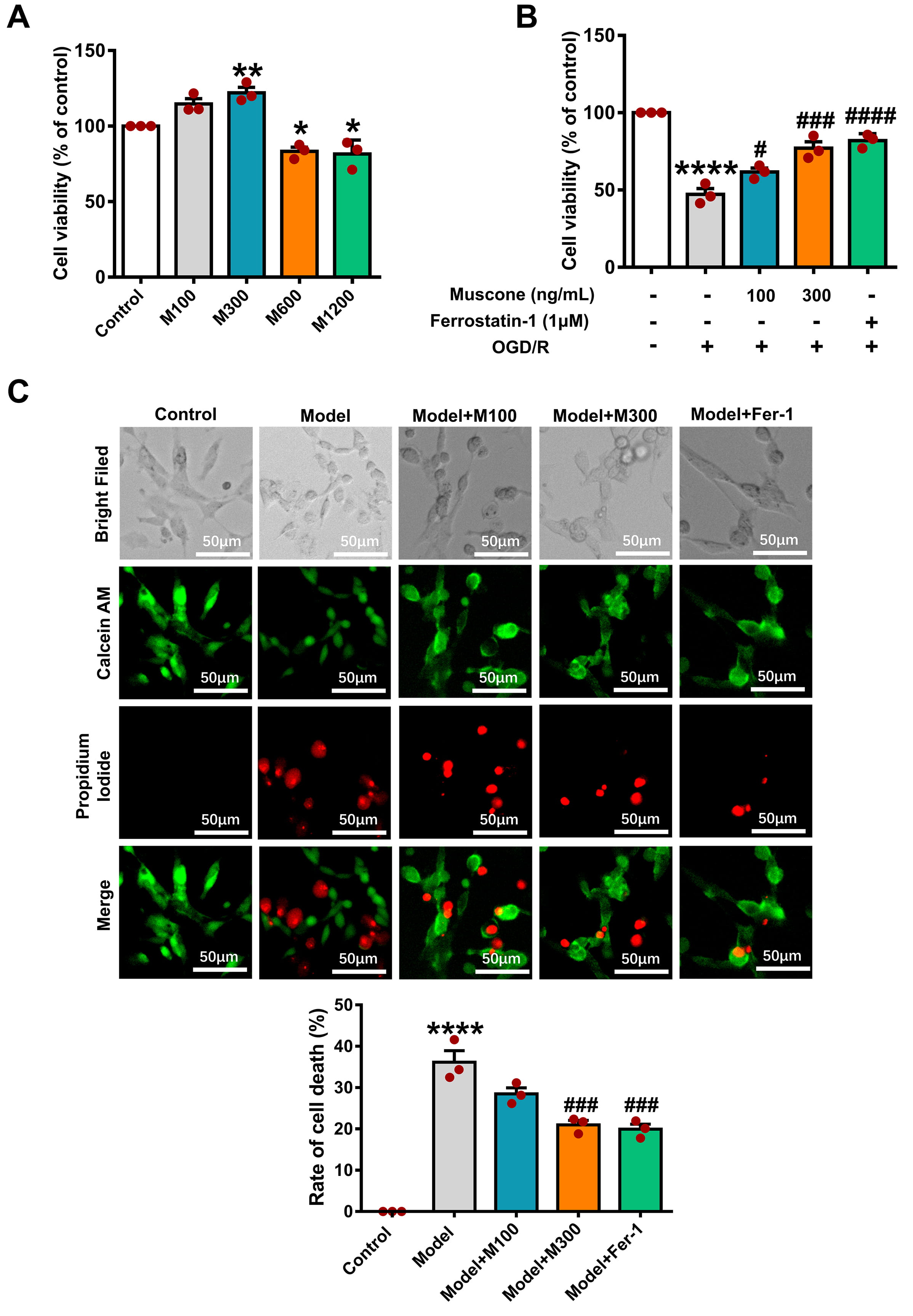 Muscone Protects Against Ferroptosis-Induced Injury in