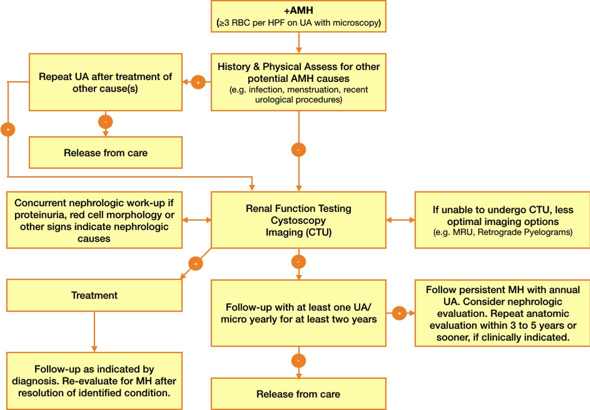 Urothelial cancer rate in women with asymptomatic microhematuria. Is ...