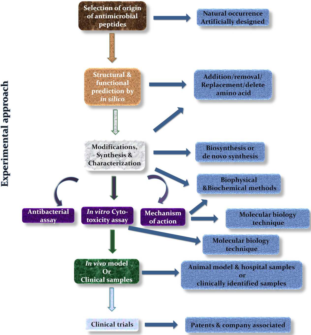 Antimicrobial peptides-An alternative candidates to antibiotics against  Staphylococcus aureus and its antibiotic-resistant strains