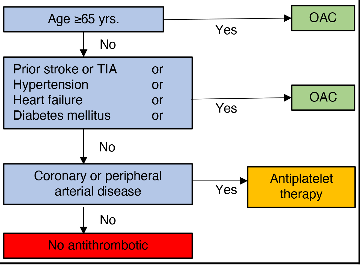 Evidencebased treatment of atrial fibrillation around the globe