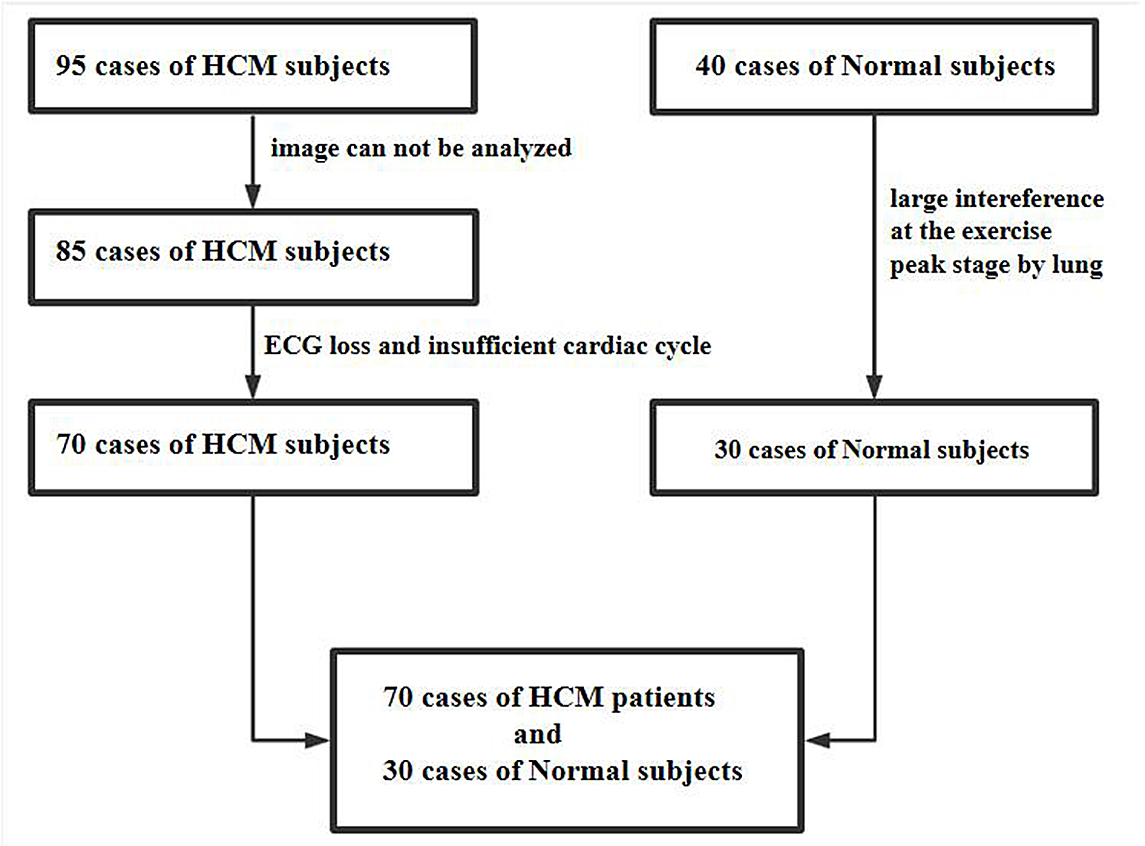 Frontiers  Normal Ranges of Right Atrial Strain and Strain Rate by  Two-Dimensional Speckle-Tracking Echocardiography: A Systematic Review and  Meta-Analysis