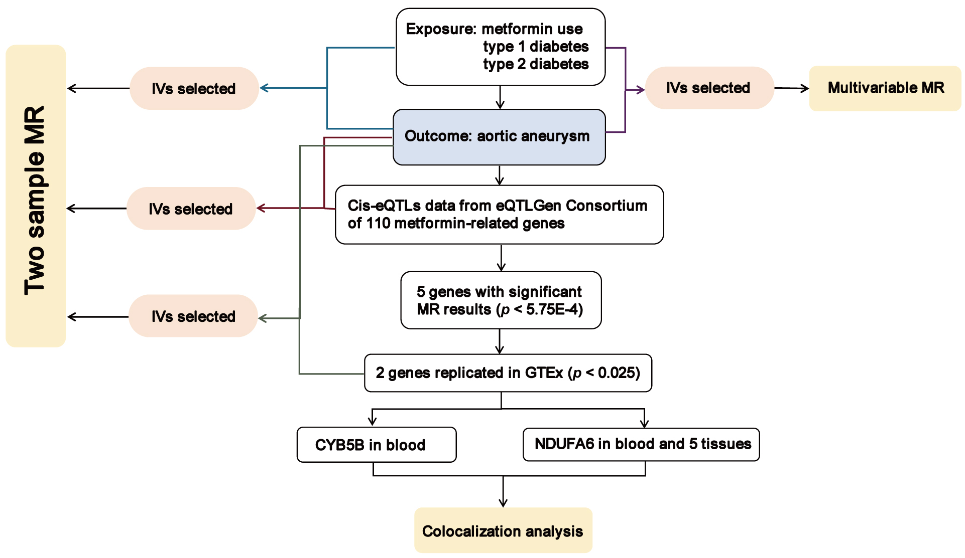 Metformin Therapeutic Targets for Aortic Aneurysms A Mendelian