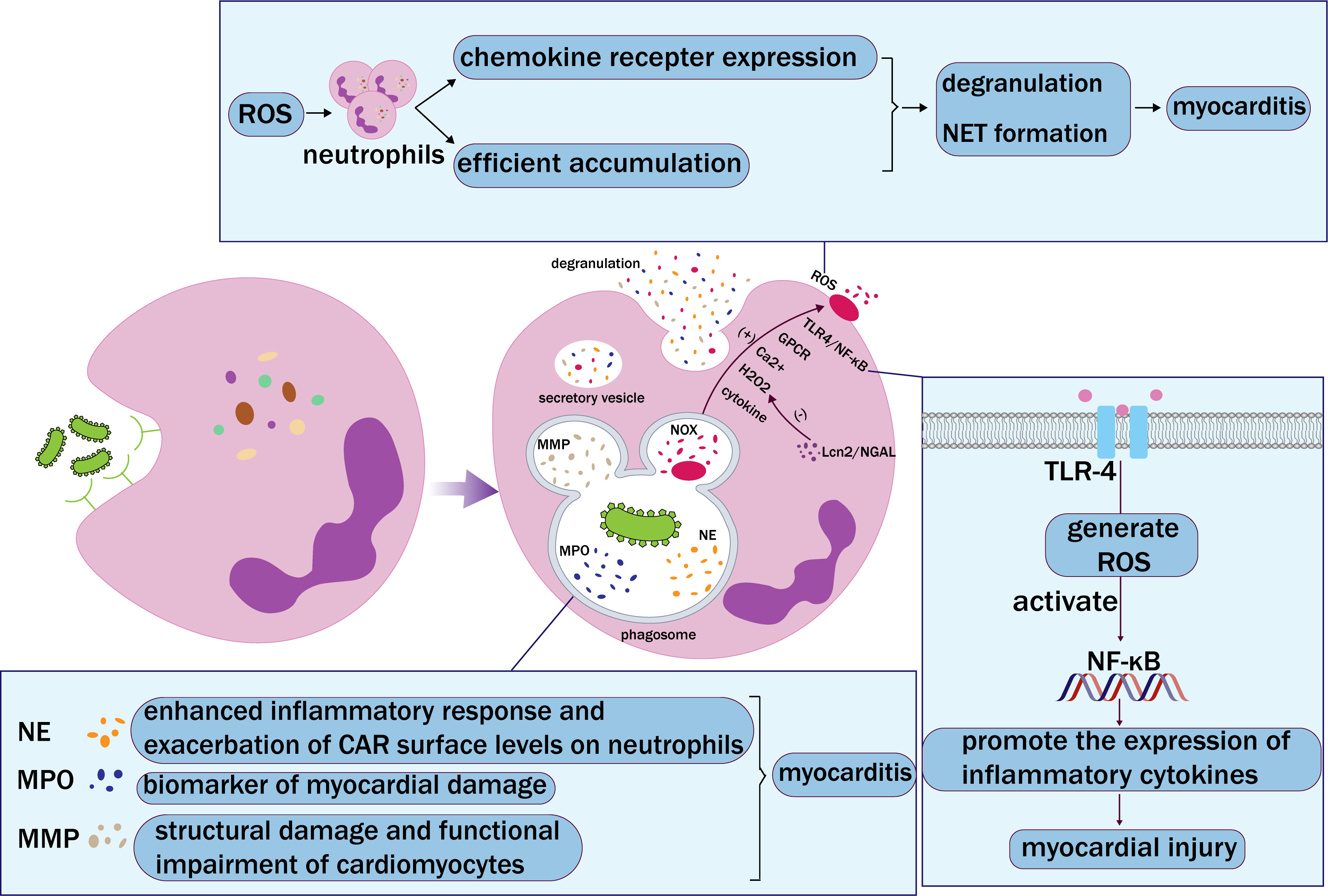 h＊＊n 3x Shiv's Embrace - Urza's Saga - Magic The Gathering NM/M